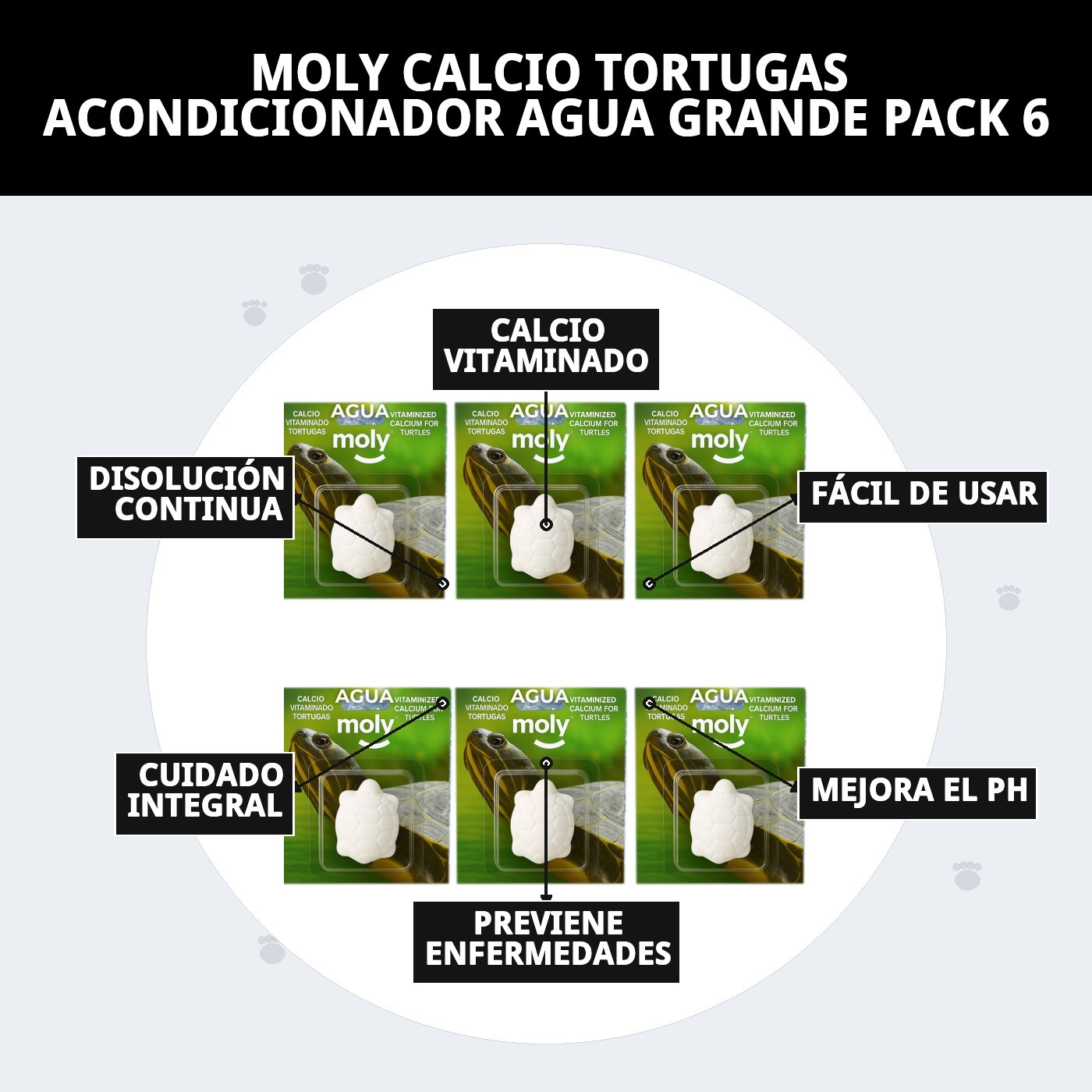Moly Calcium für große Schildkröten - Stärken Sie ihren Panzer — Foto 8