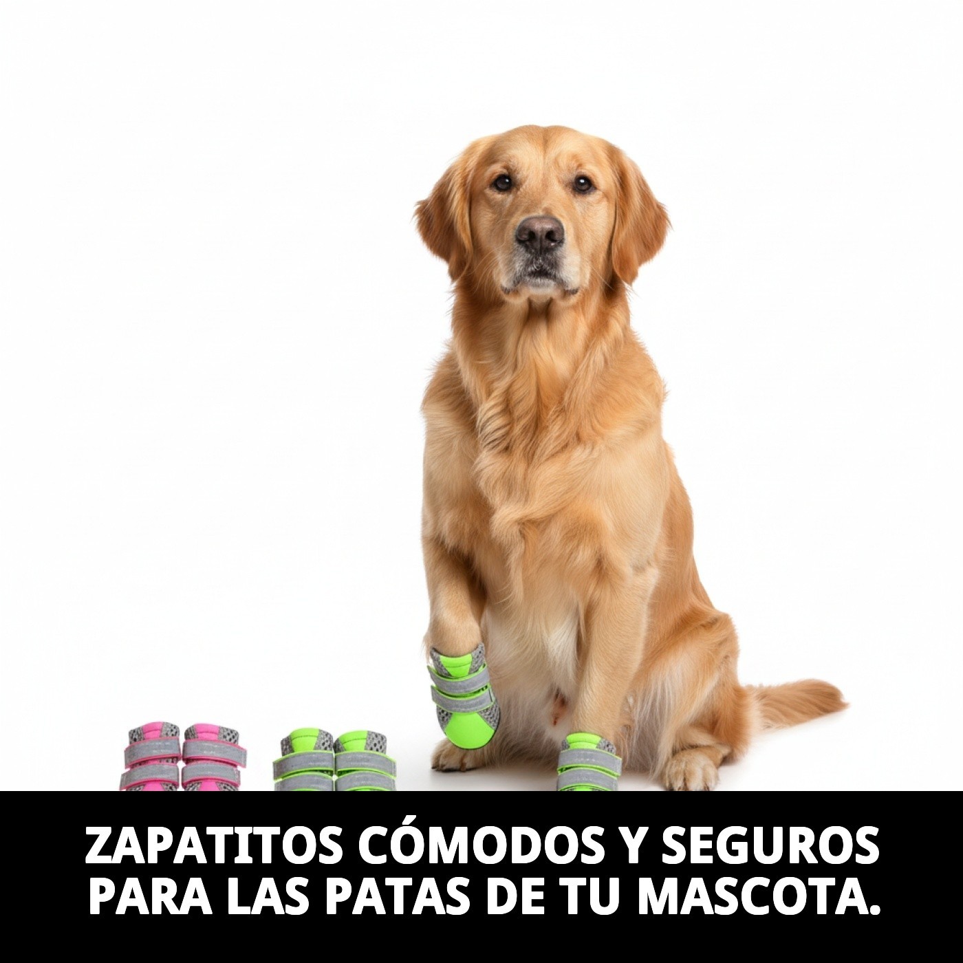 Moly Schuhe für Tiere T-S — Foto 3