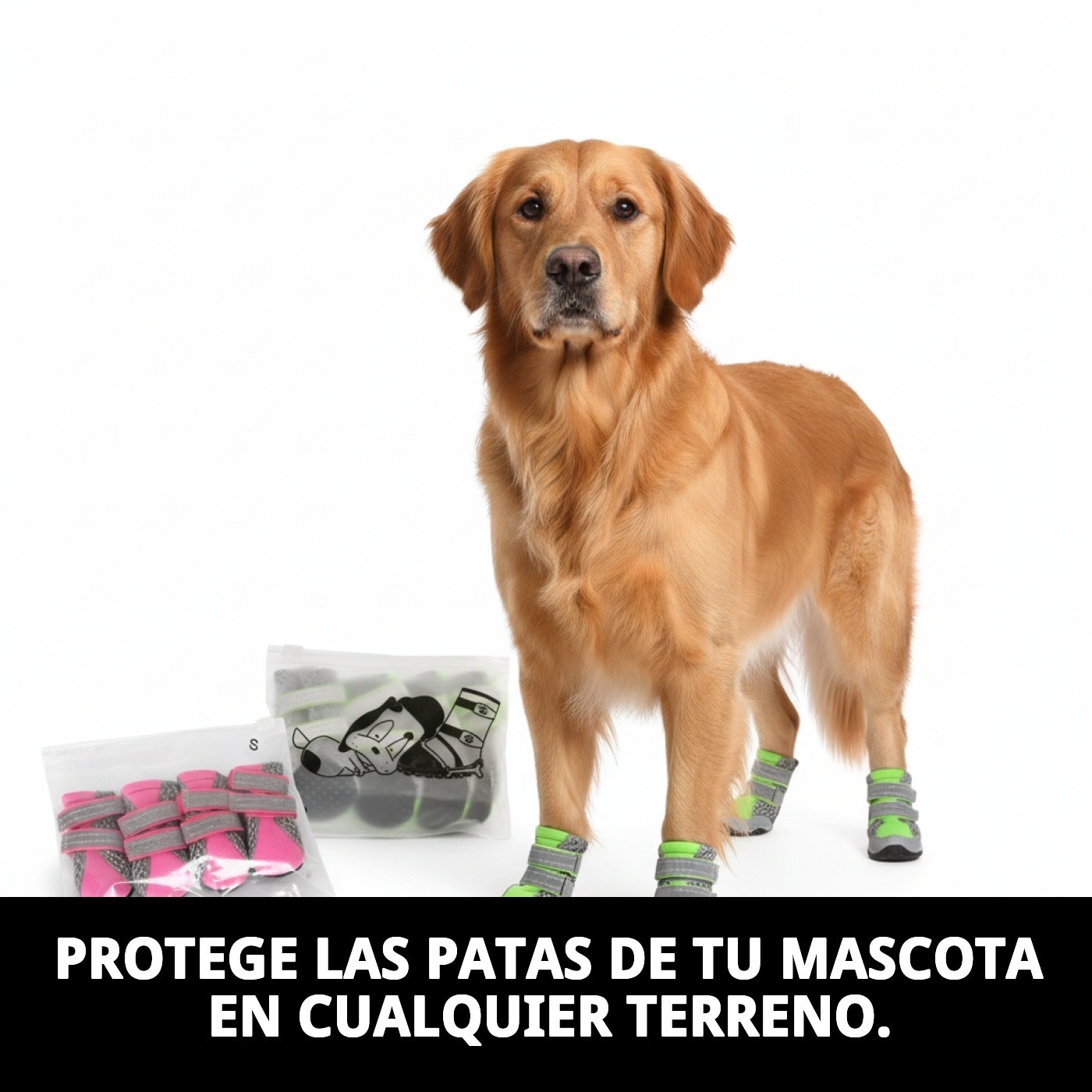 Chaussures Moly für Tiere T-M — Foto 3
