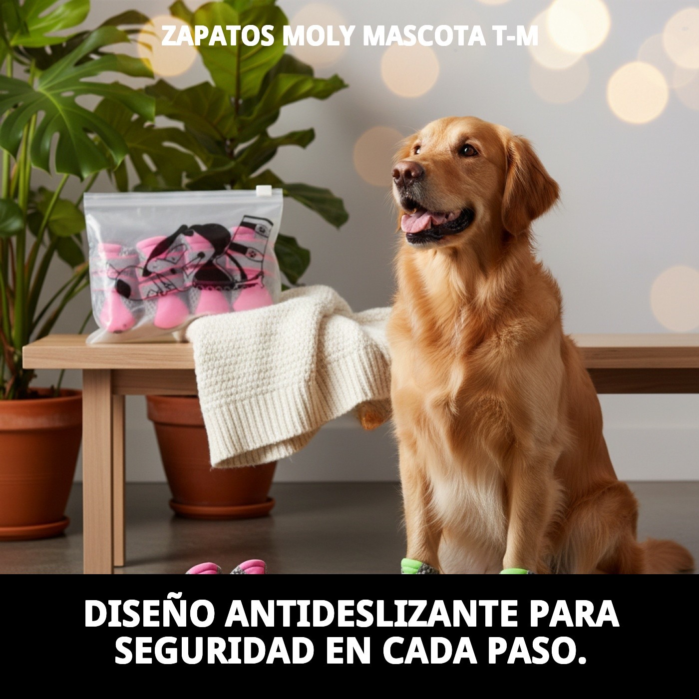 Chaussures Moly für Tiere T-M — Foto 6