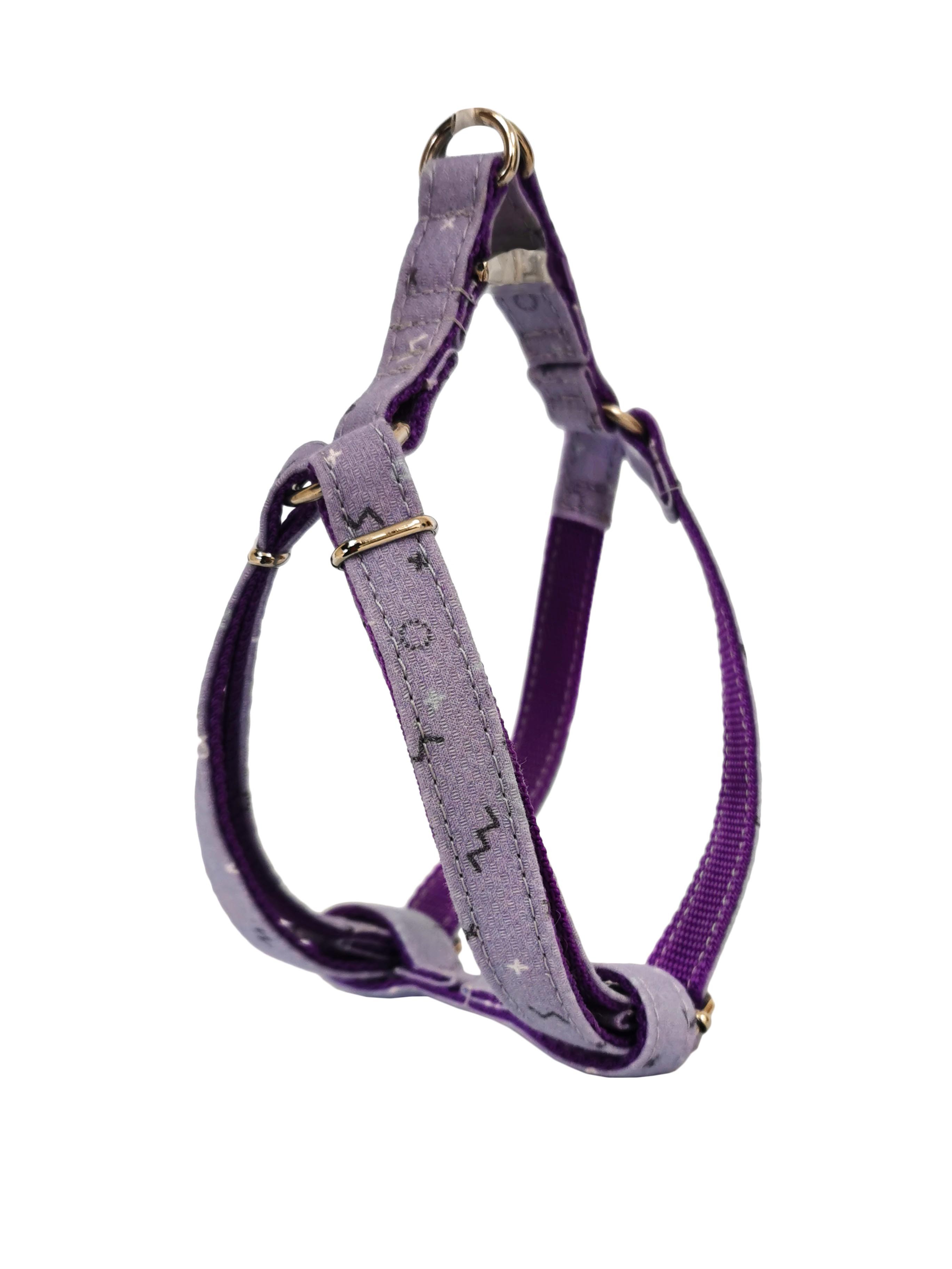 Geschirr Moly Lilas T-3 30-40*1,5