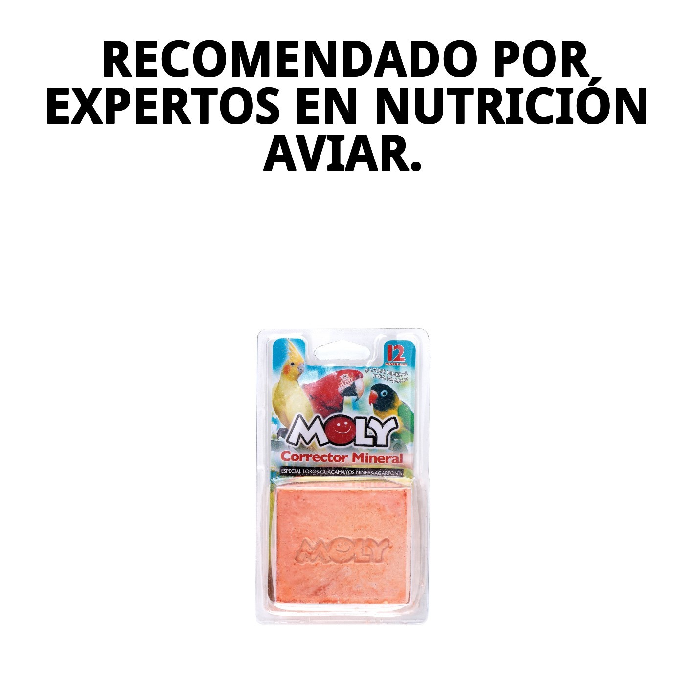 Moly-Calcium für Papageien - 150g — Foto 8