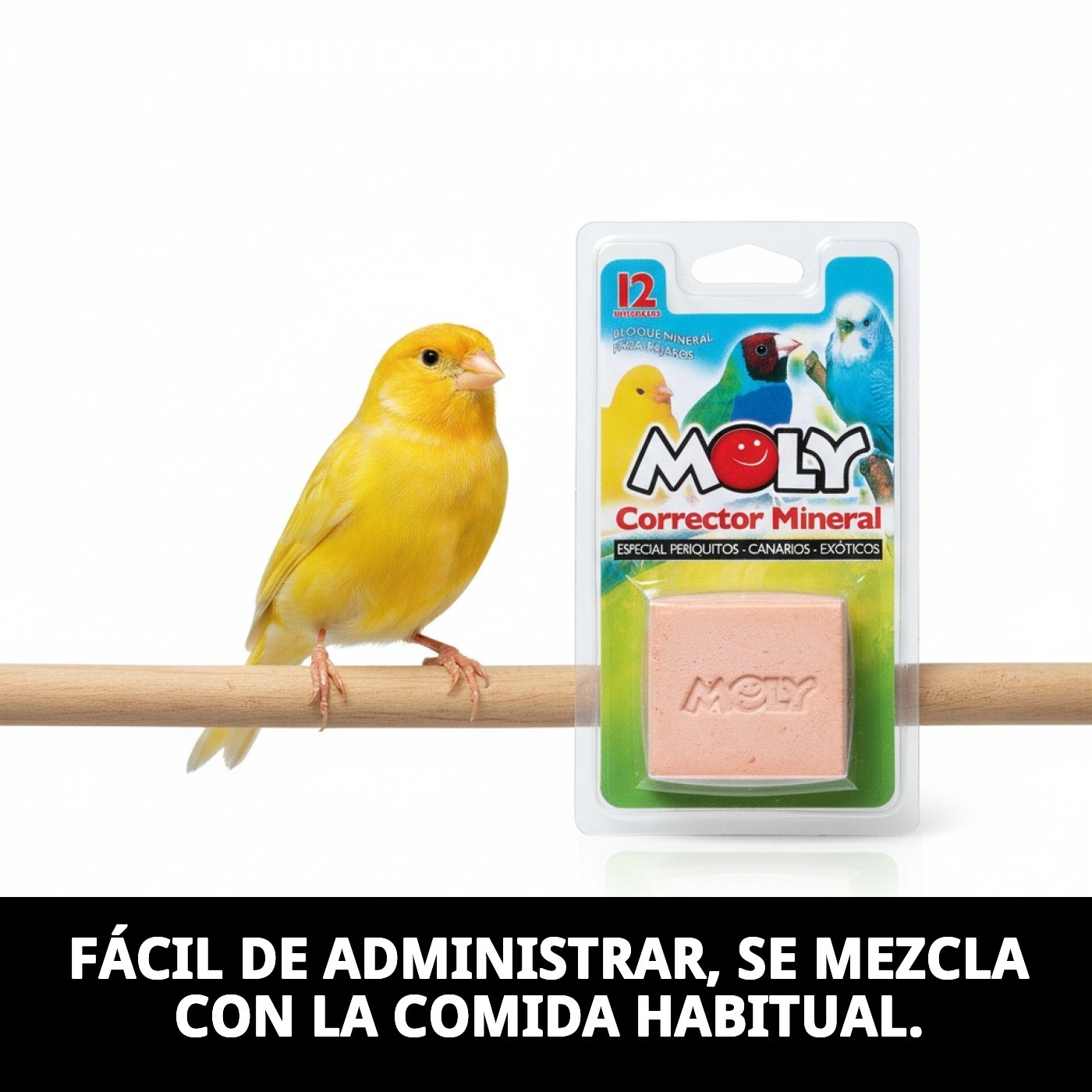 MOLY CALCIUM FÜR VÖGEL 100 g — Foto 7