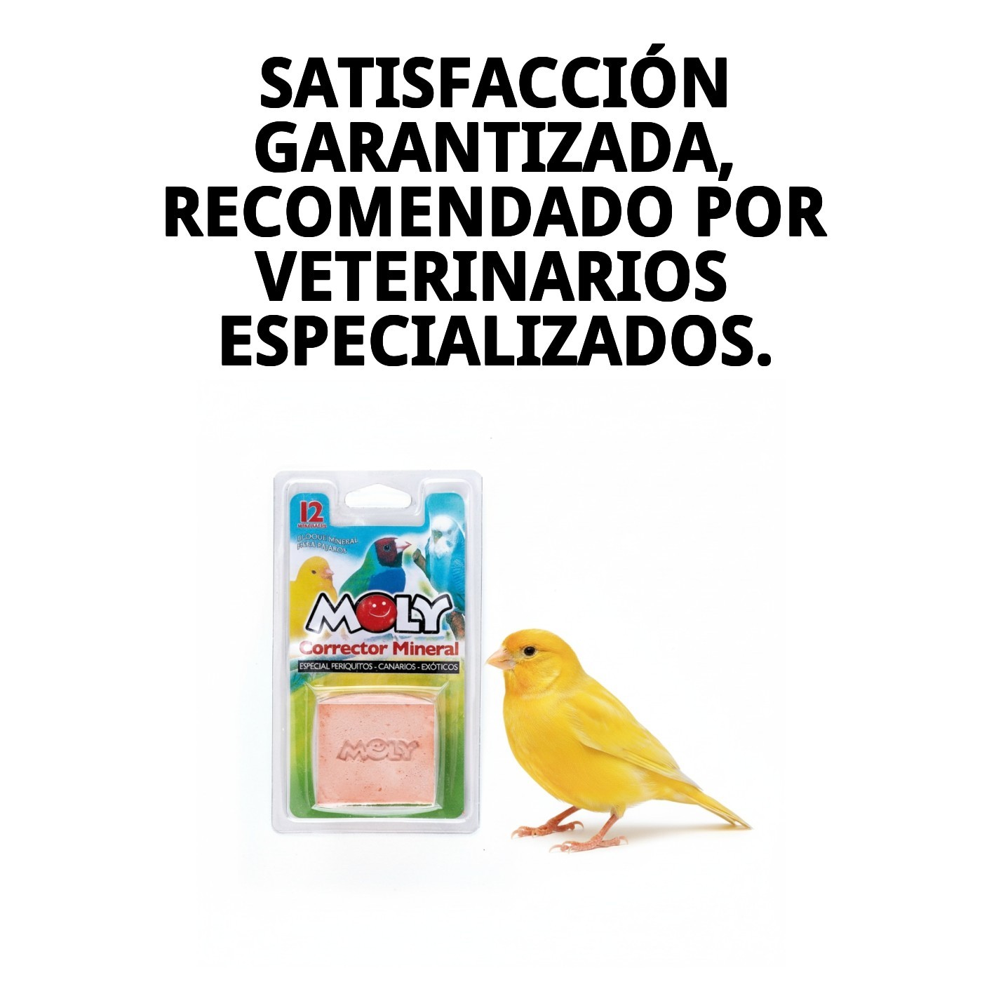 MOLY CALCIUM FÜR VÖGEL 100 g — Foto 8