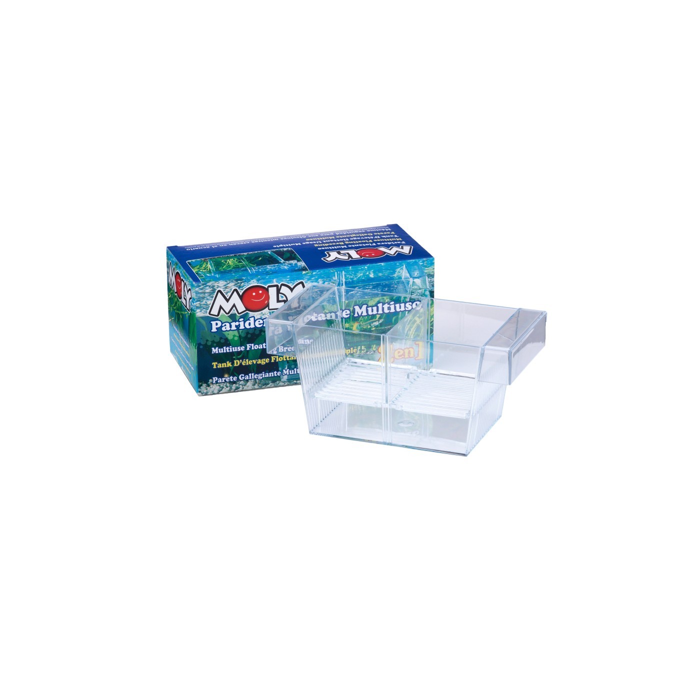 Nische Flottante 2 in 1 Moly 21x10x9,5 cm