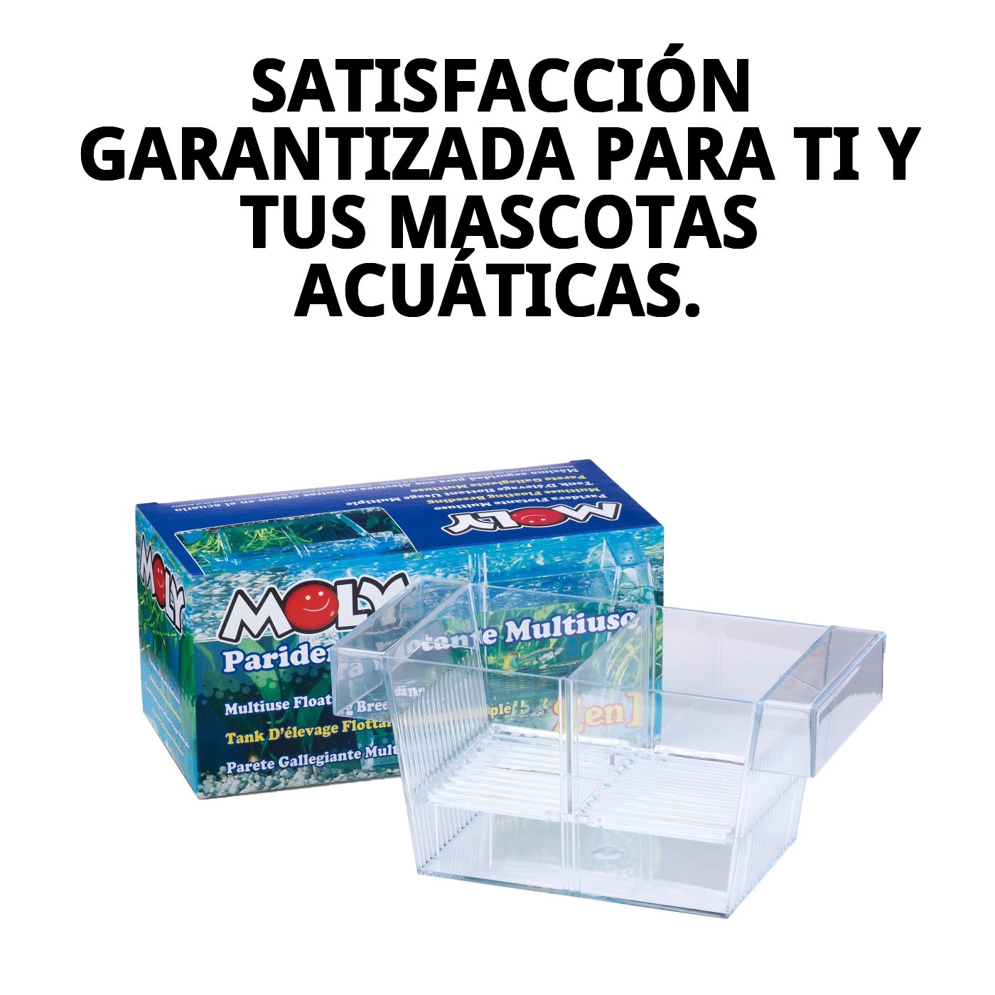 Nische Flottante 2 in 1 Moly 21x10x9,5 cm — Foto 8