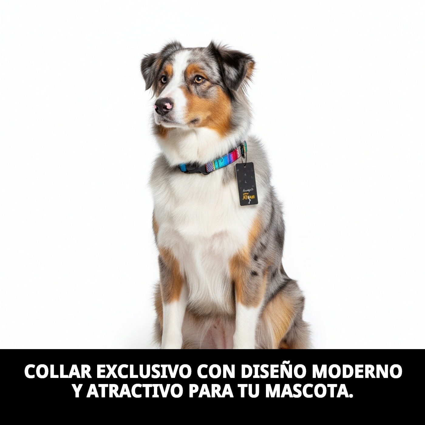 Halsband City Fantasie 3x40-70 — Foto 3