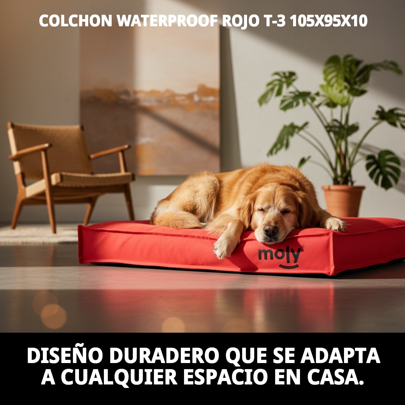 Wasserdichter roter Matratze T-3 105X95X10 — Foto 6