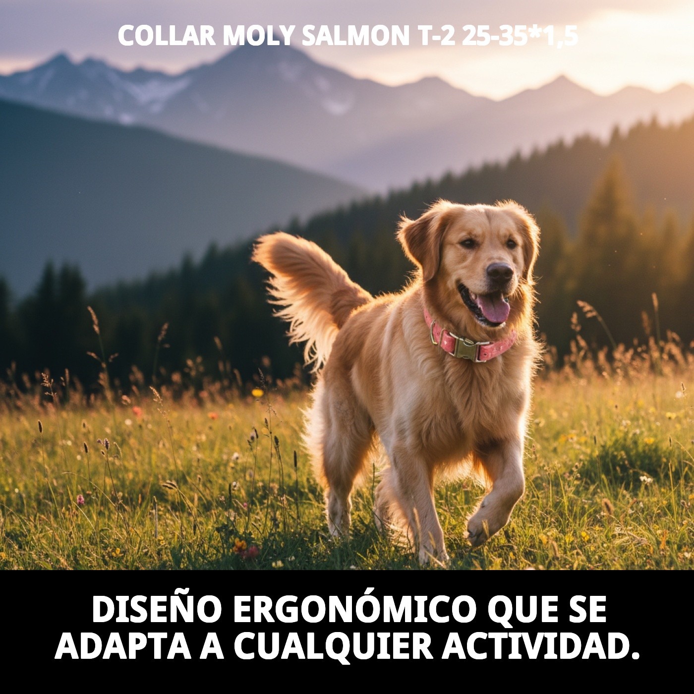 Halsband Moly Lachs T-2 25-35*1,5 — Foto 6