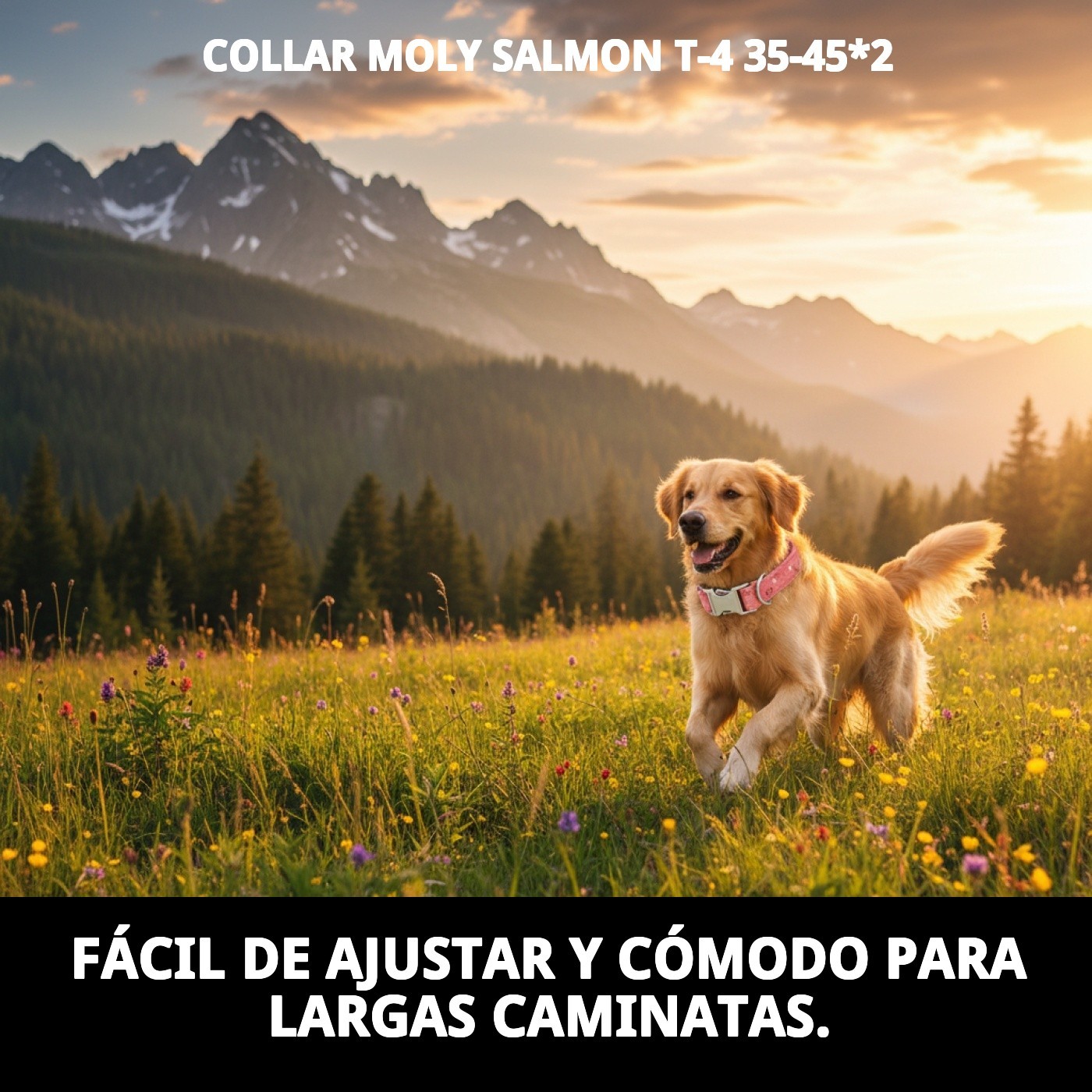 Halsband Moly Lachs T-4 35-45*2 — Foto 6