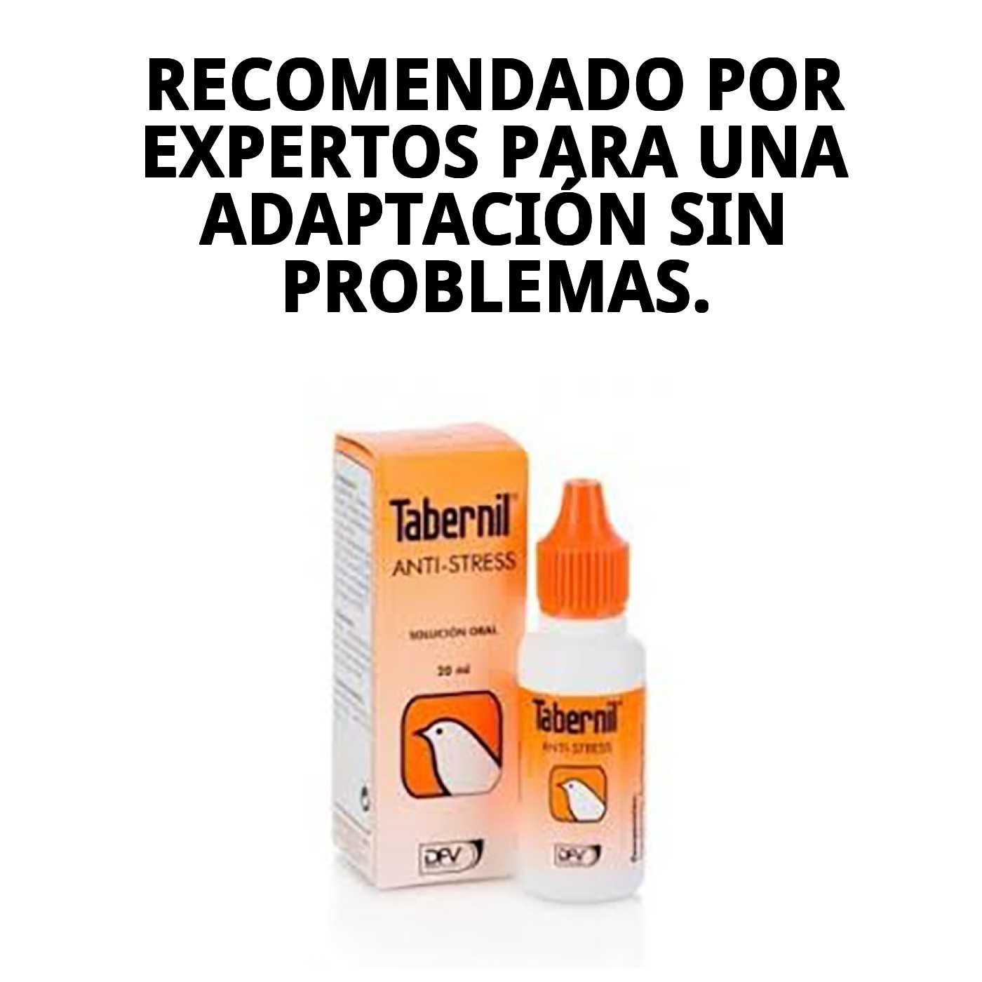 Tabernil Anti-Stress 20 Ml — Foto 8