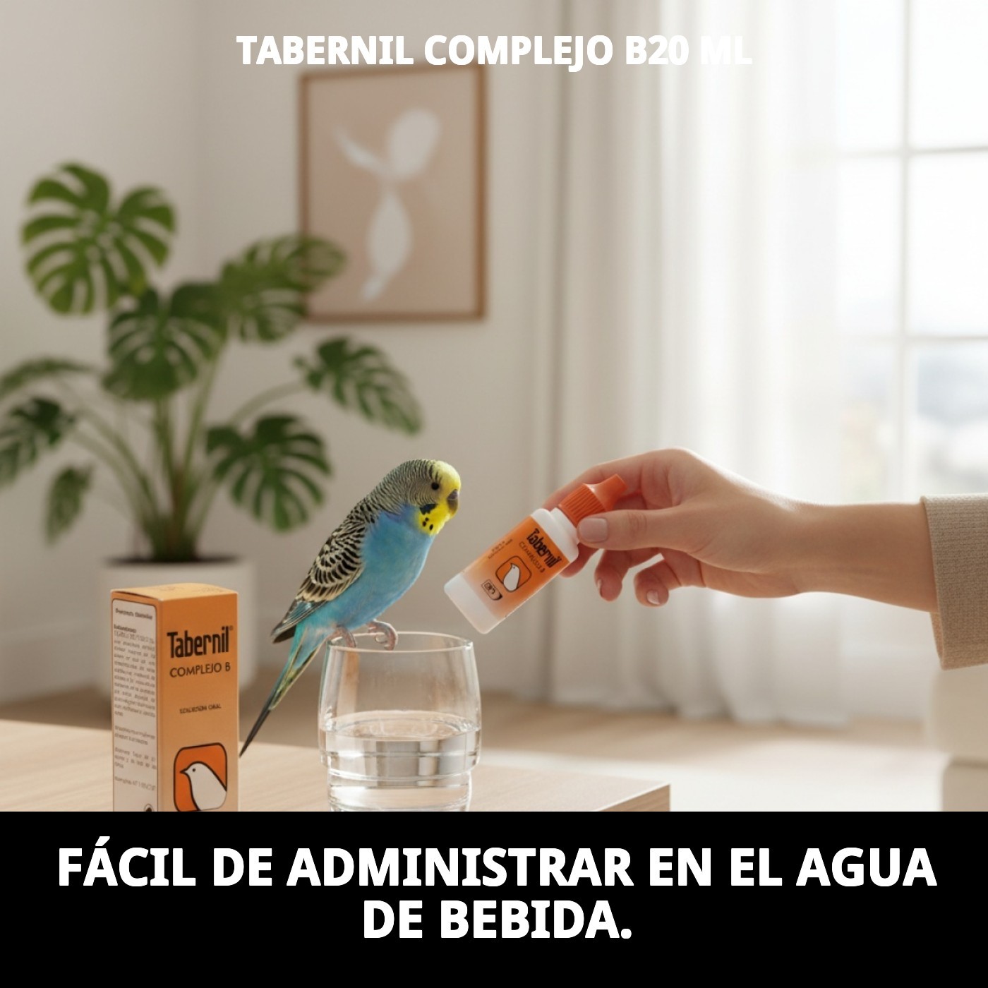 Tabernil Complexe B 20 ml — Foto 7