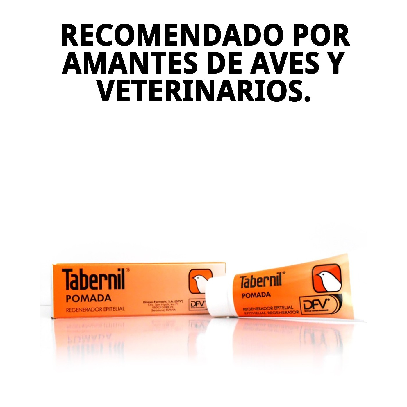 Pommade Tabernil 9,25 g — Foto 7