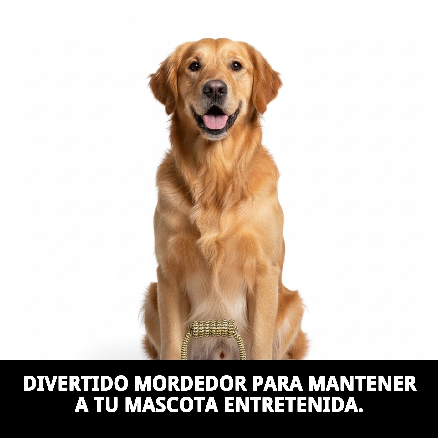 Mordeur TPR Rond Collection Dior Pet — Foto 3