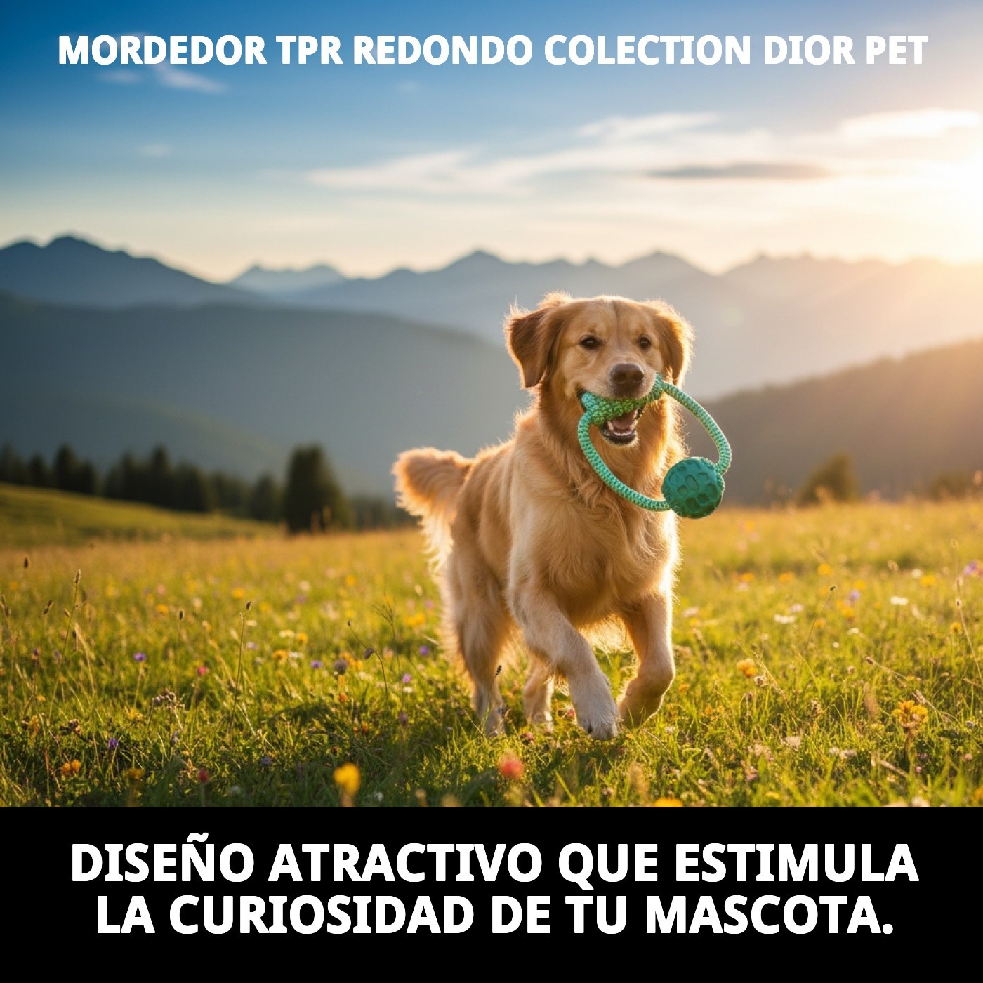Mordeur TPR Rond Collection Dior Pet — Foto 6