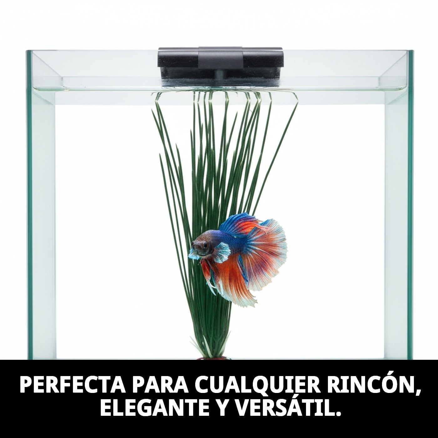 Dekorative Pflanze 23 cm — Foto 6