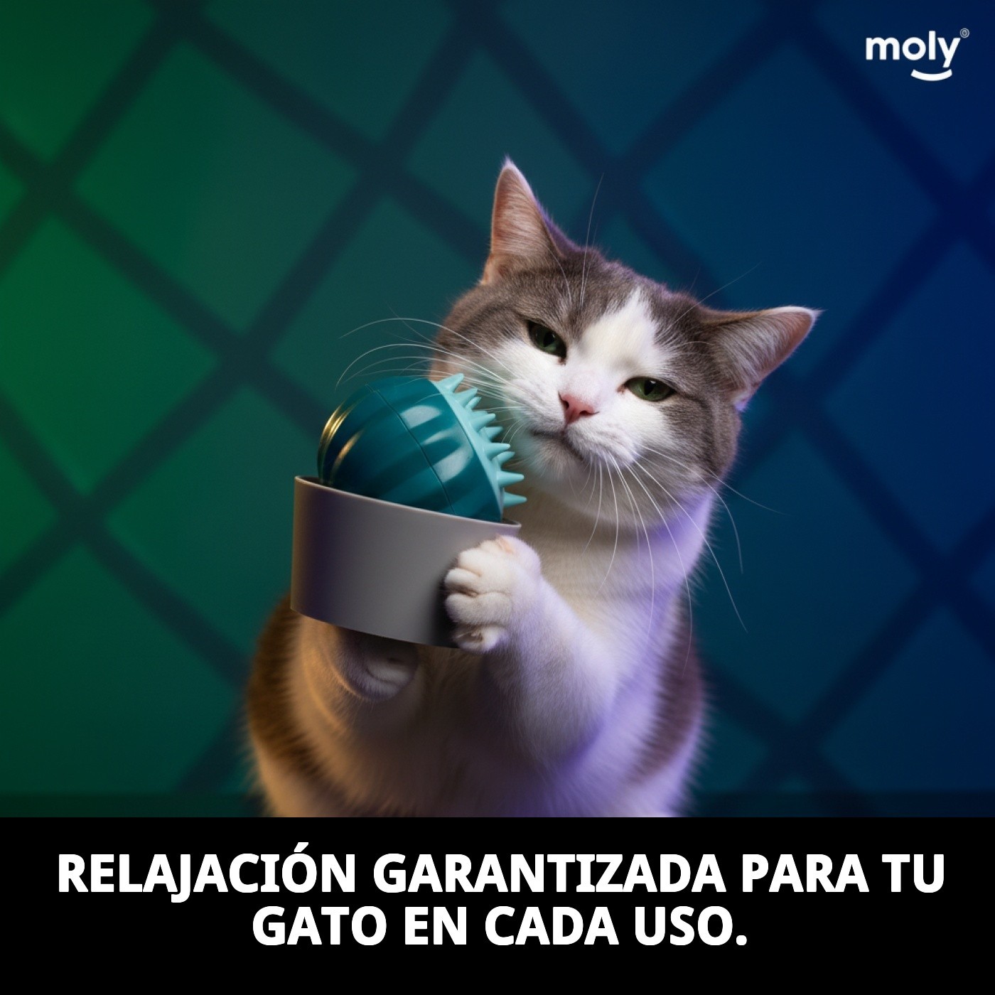 Massagegerät für Katzen — Foto 9
