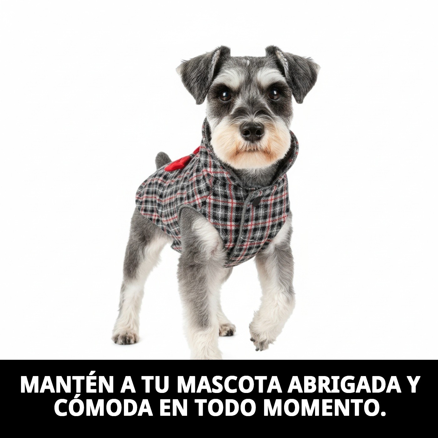 Manteau Izan T-M — Foto 4