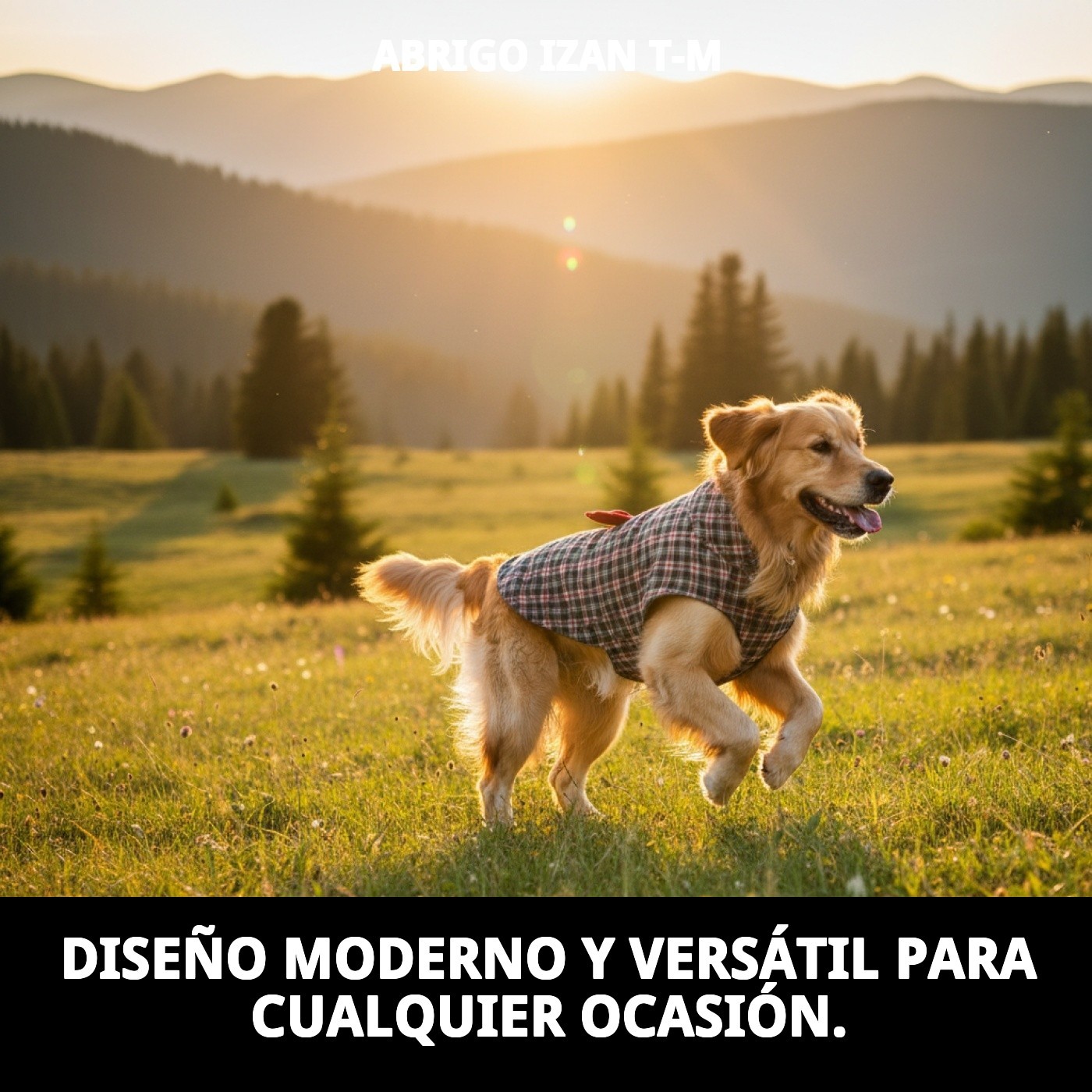 Manteau Izan T-M — Foto 7