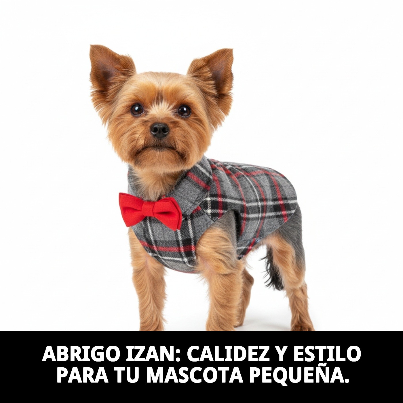 Manteau Izan T-XXS — Foto 4