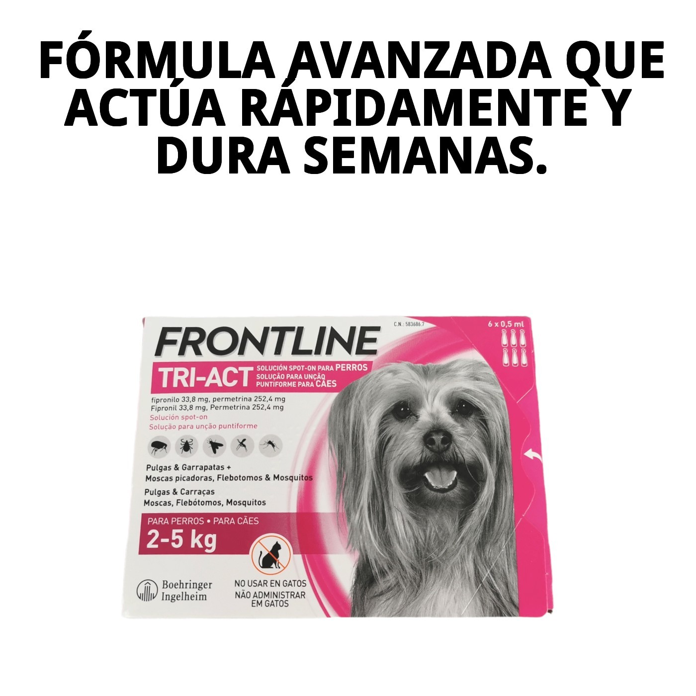Frontline Tri-Act Pipette Antiparasitär 2-5 kg — Foto 4