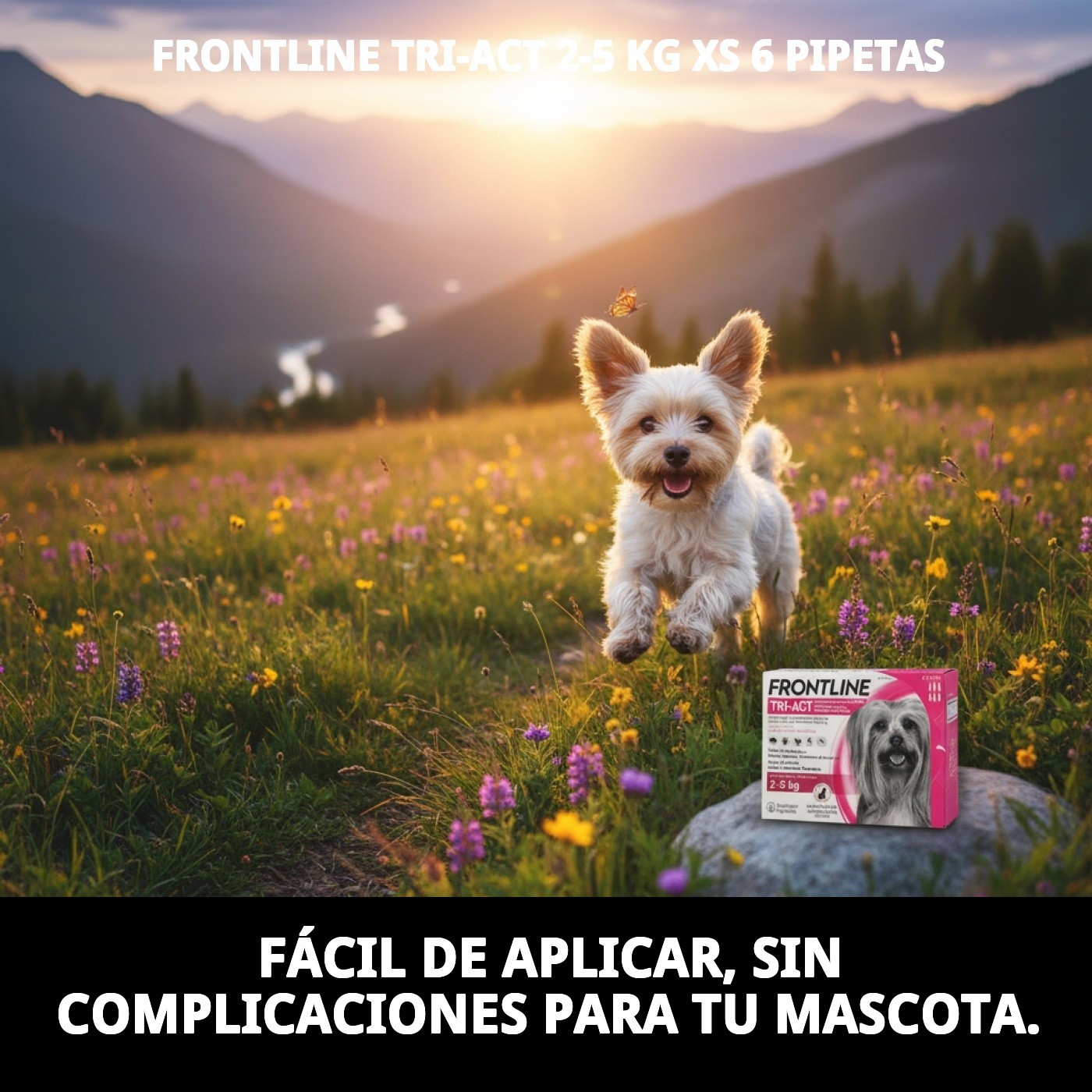 Frontline Tri-Act Pipette Antiparasitär 2-5 kg — Foto 6