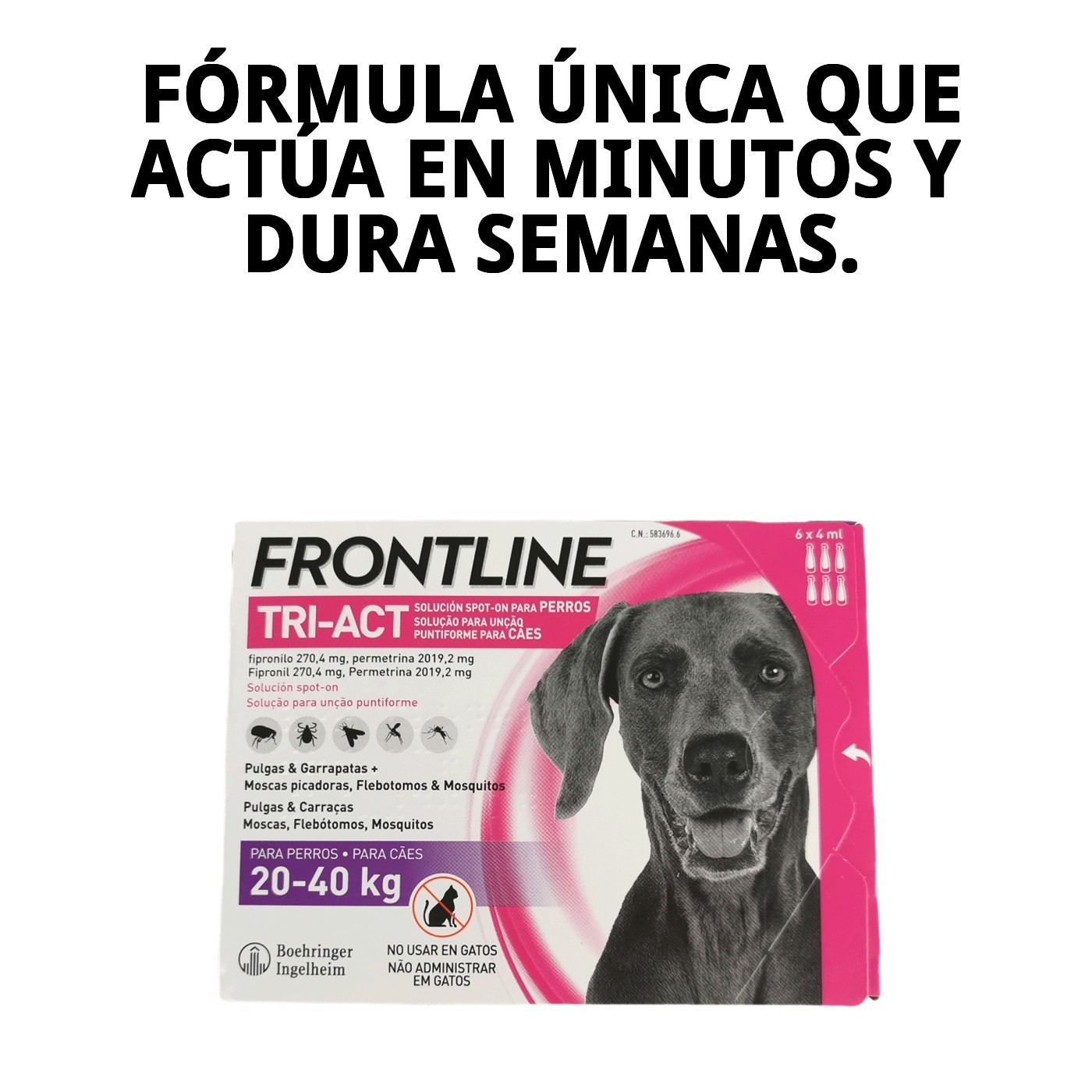 Antiparasitarie Frontline Tri-Act 20-40 kg- 6 Pipetten — Foto 4