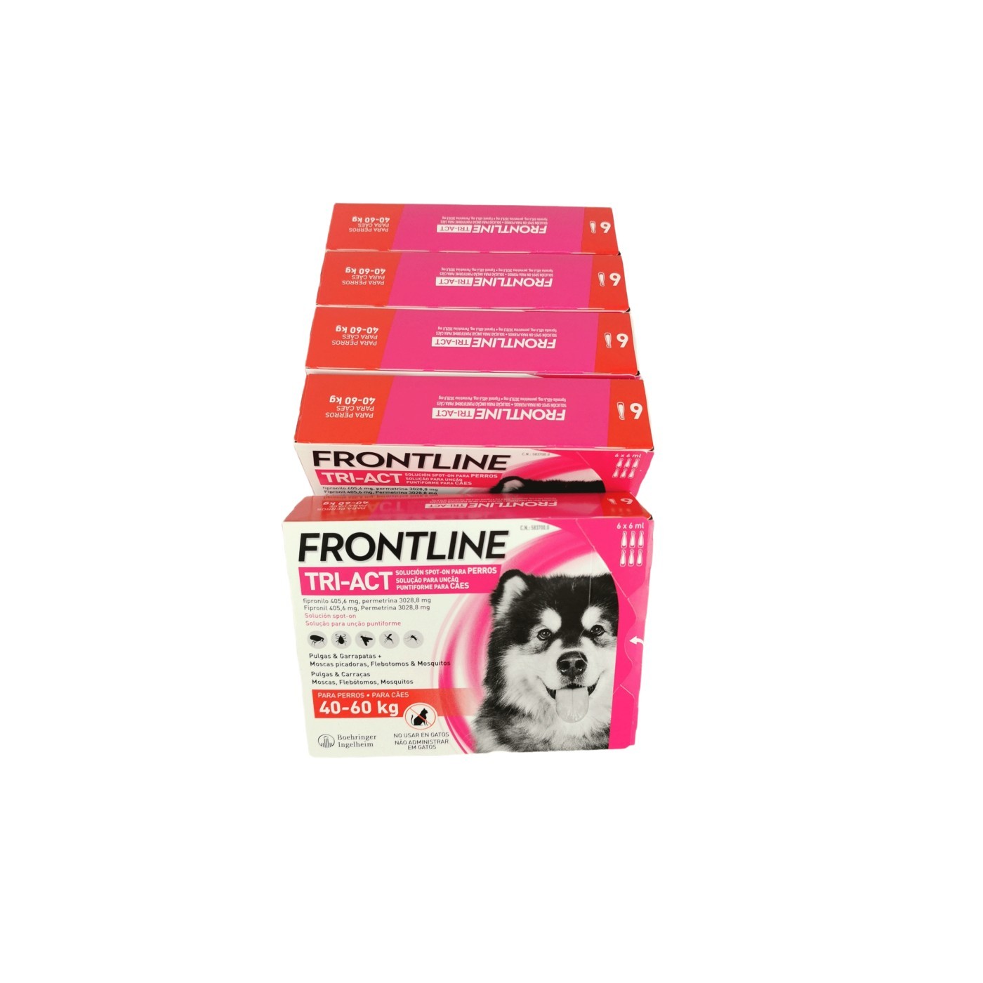 Pipetten antiparasitaires Frontline Tri-Act 40-60 kg-6 Pipetten
