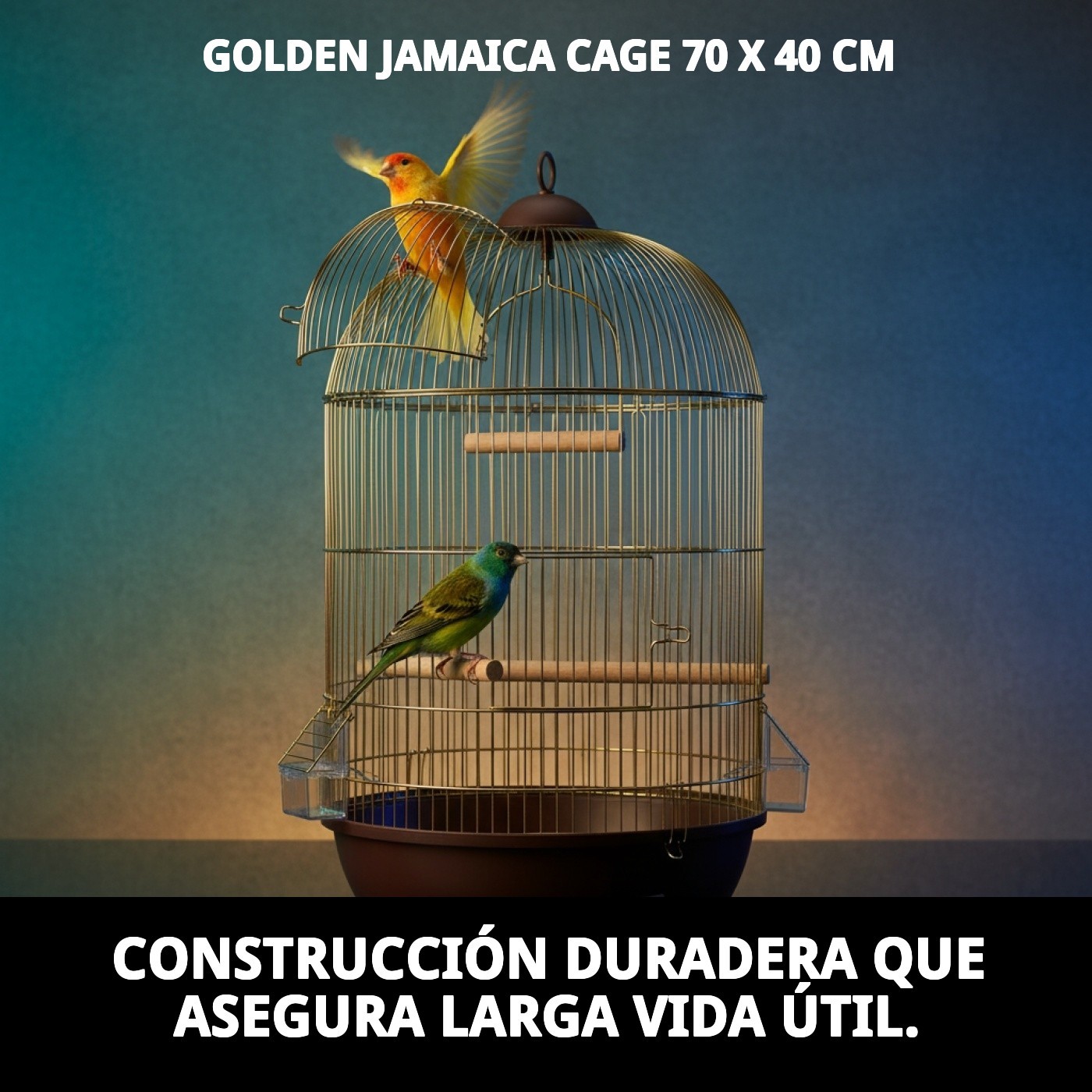 Käfig Jamaica gold 70 x 40 cm — Foto 12