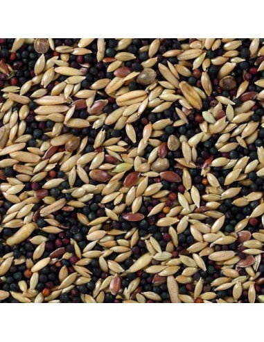 Moly Kanarienvogel-Mischung 20 kg Deli Nature — Foto 2