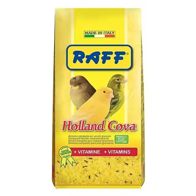Zuchtpaste RAFF Holland Cova 300 g