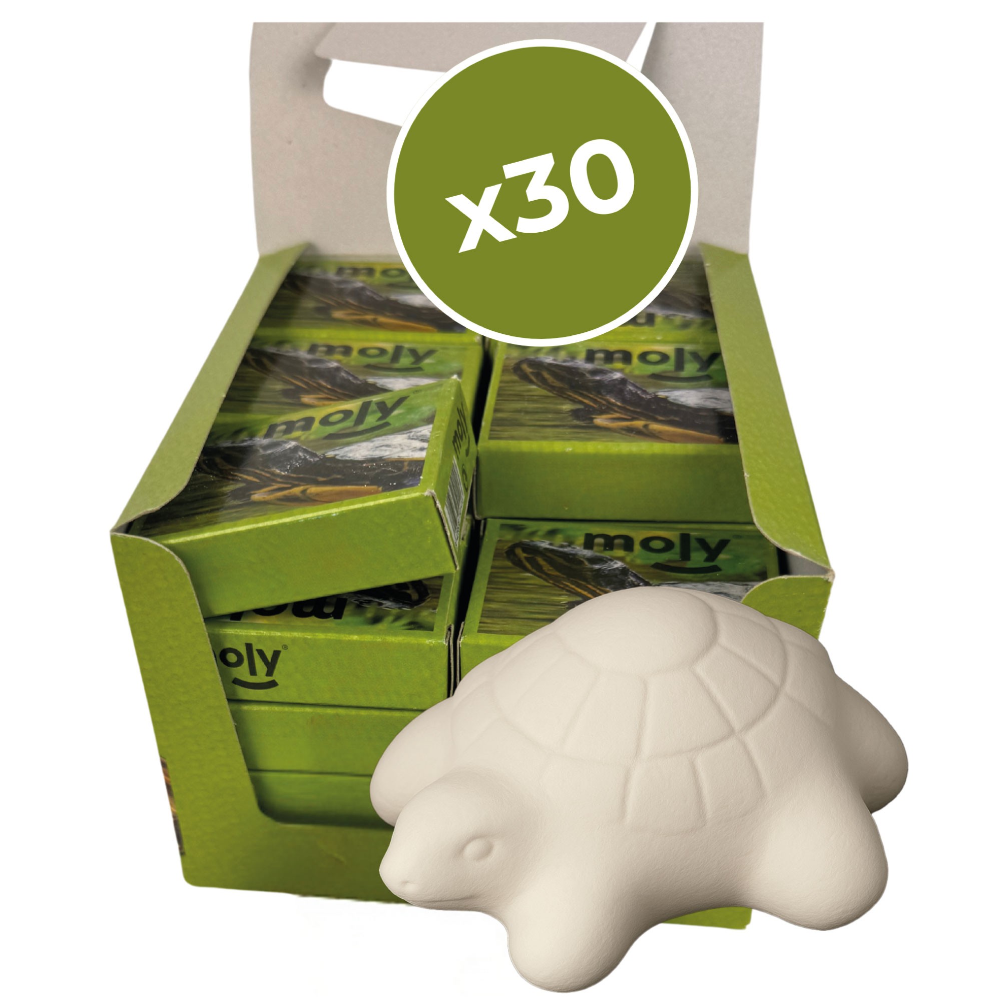 Moly Calcium Schildkröten - Präsentation 30 Blöcke — Foto 2