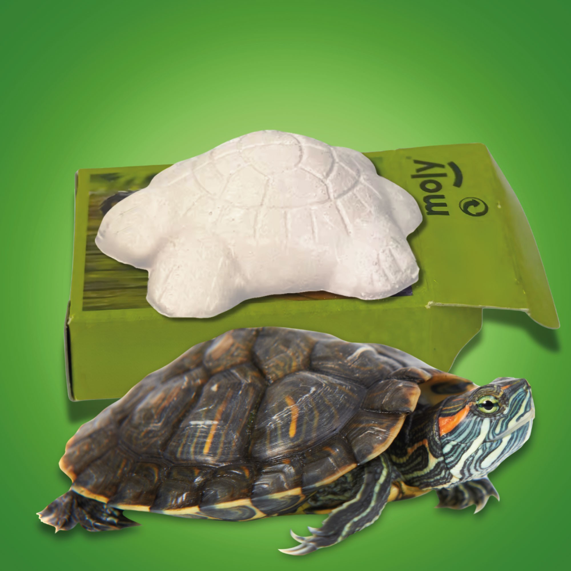 Moly Calcium Schildkröten - Präsentation 30 Blöcke — Foto 4