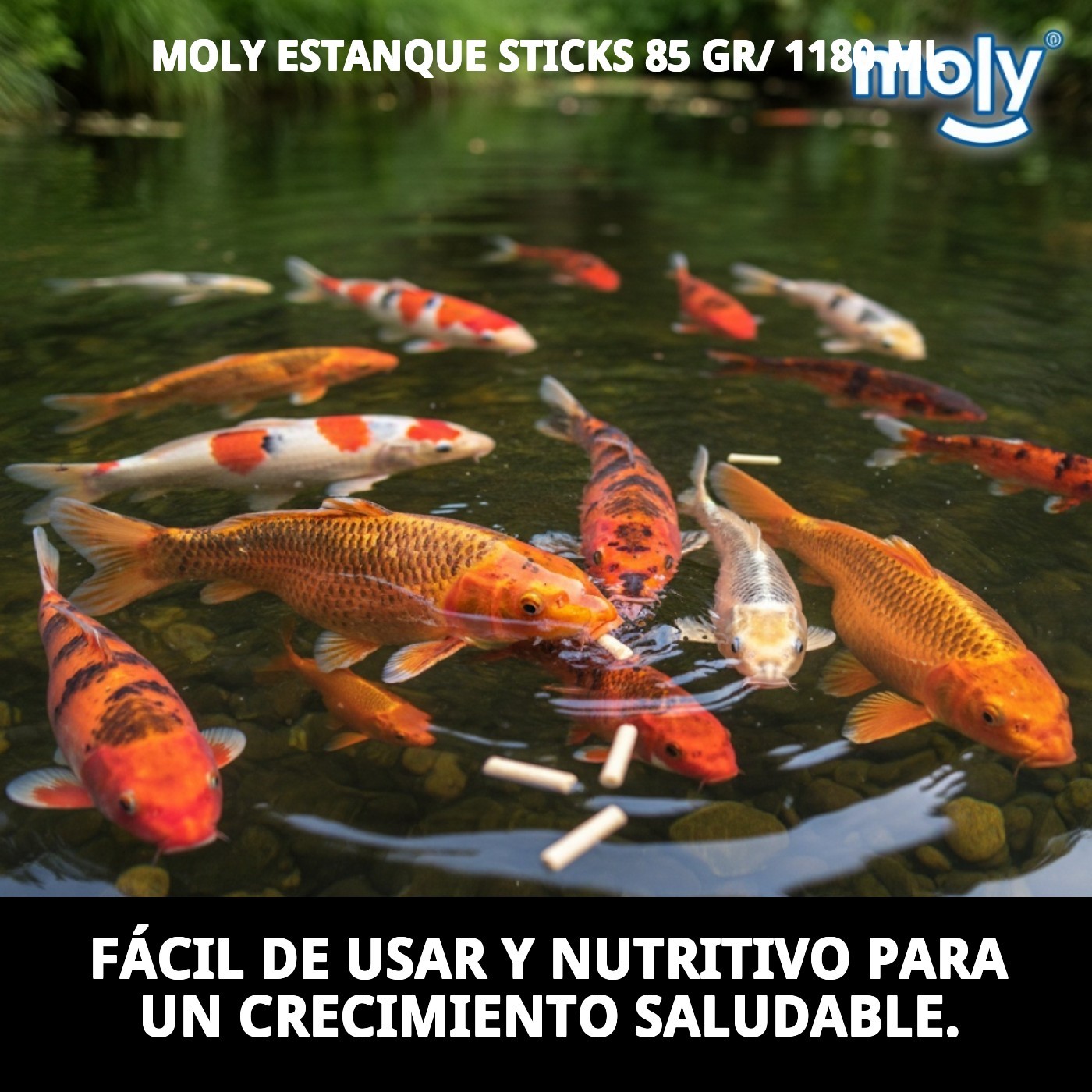 Moly Teichsticks für Teichfische 125 g / 1180 ml — Foto 6