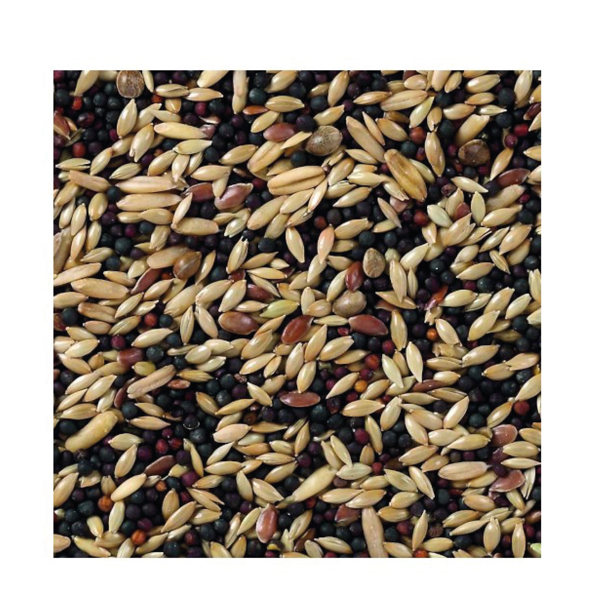 Deli Nature Mischung Kanarienvögel Basis 20 kg — Foto 2