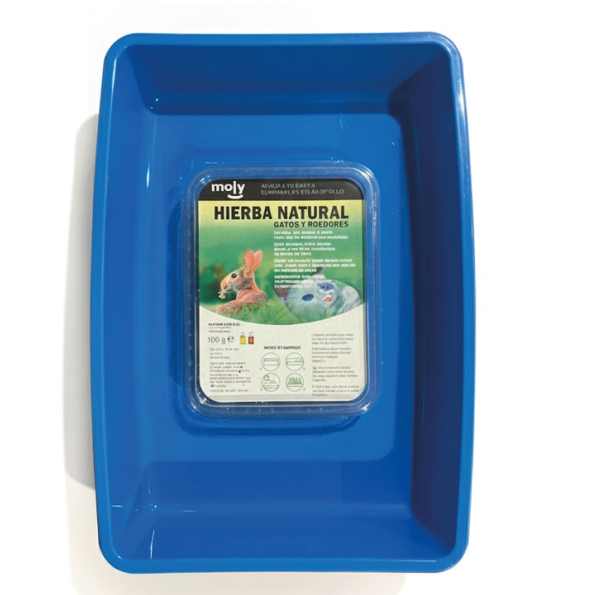 Katzengras Kit Moly 100 g mit Kompaktplatte