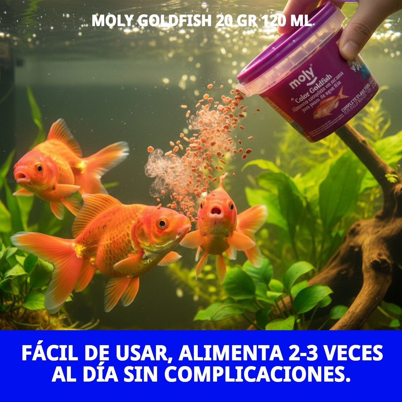 Moly Aliments in Flakes für Goldfische - 20 g 120 ML — Foto 7