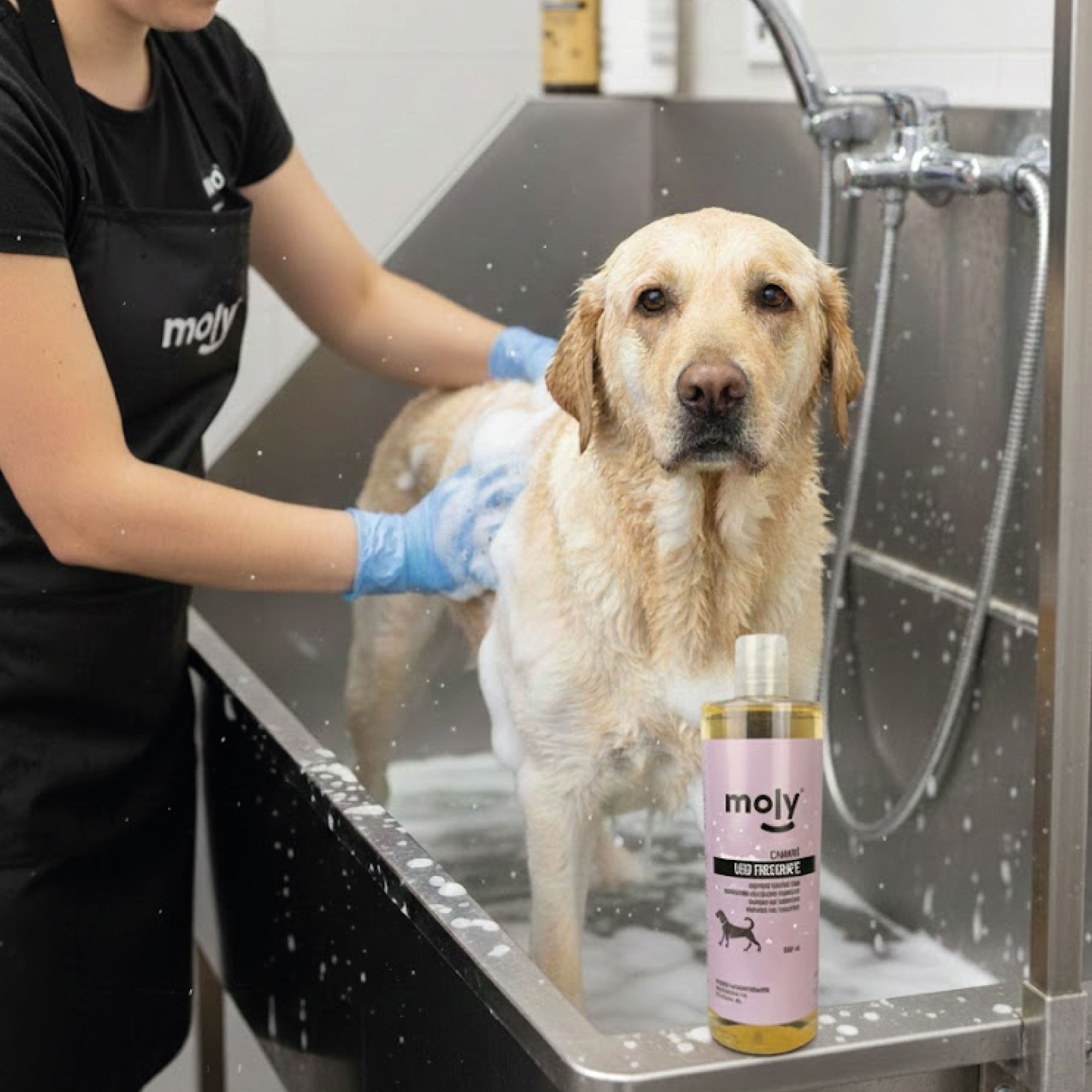Shampoo für häufige Anwendung 500 ml — Foto 2