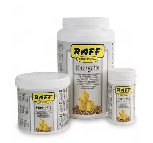 ENERGETTE PROFESSIONELLE 100 G