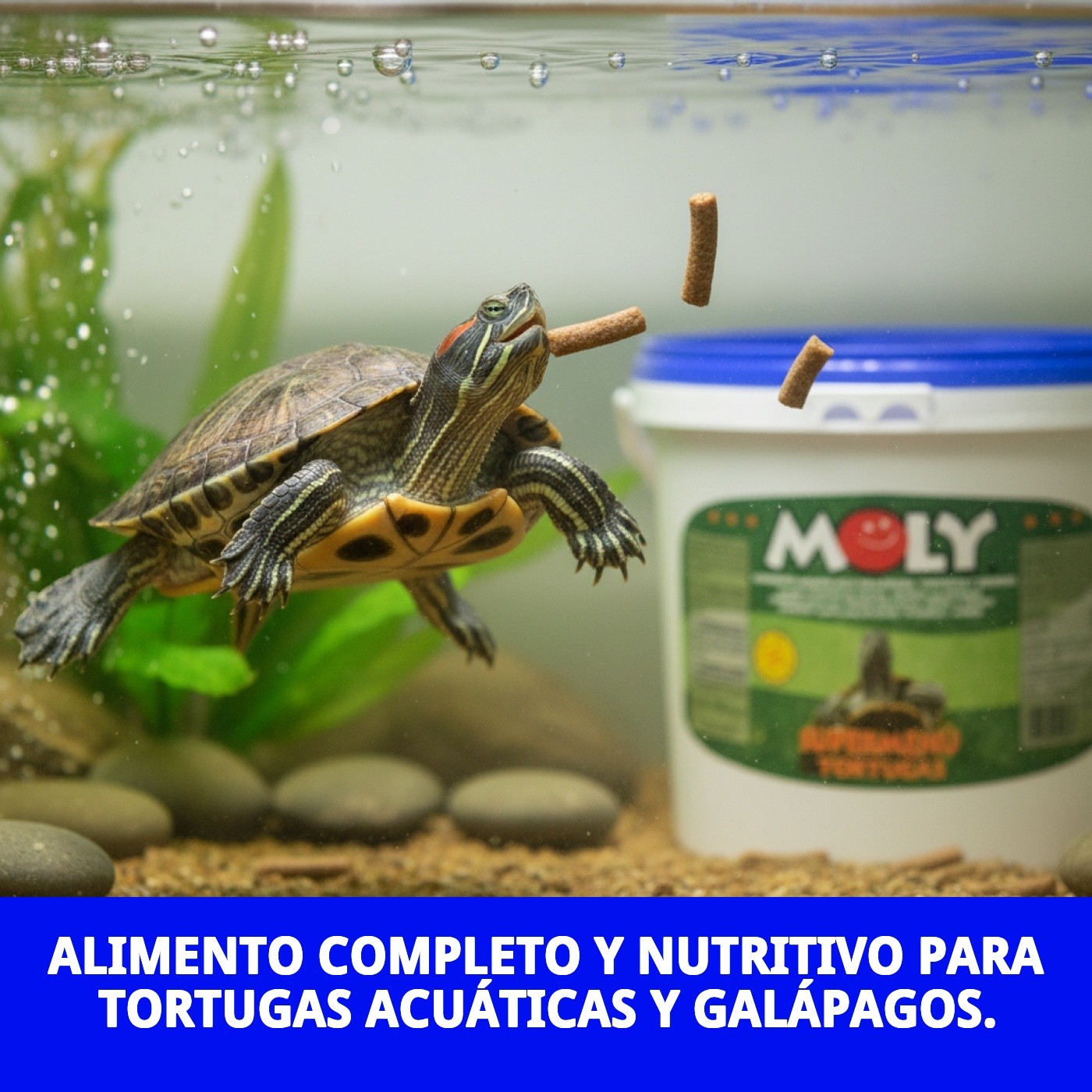 Turtle Sticks Moly - Futter für Aquatische Schildkröten 1,5 kg — Foto 8