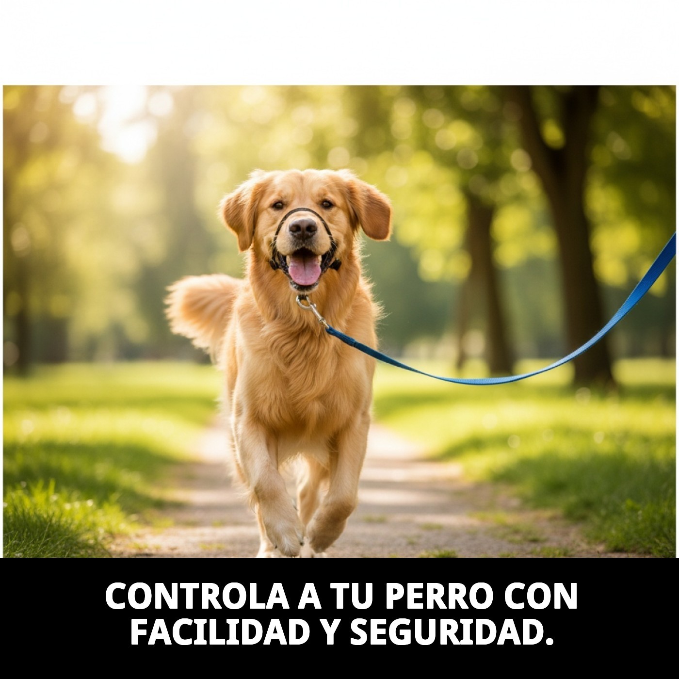 Halsband Dog Control N3 32 CM — Foto 5