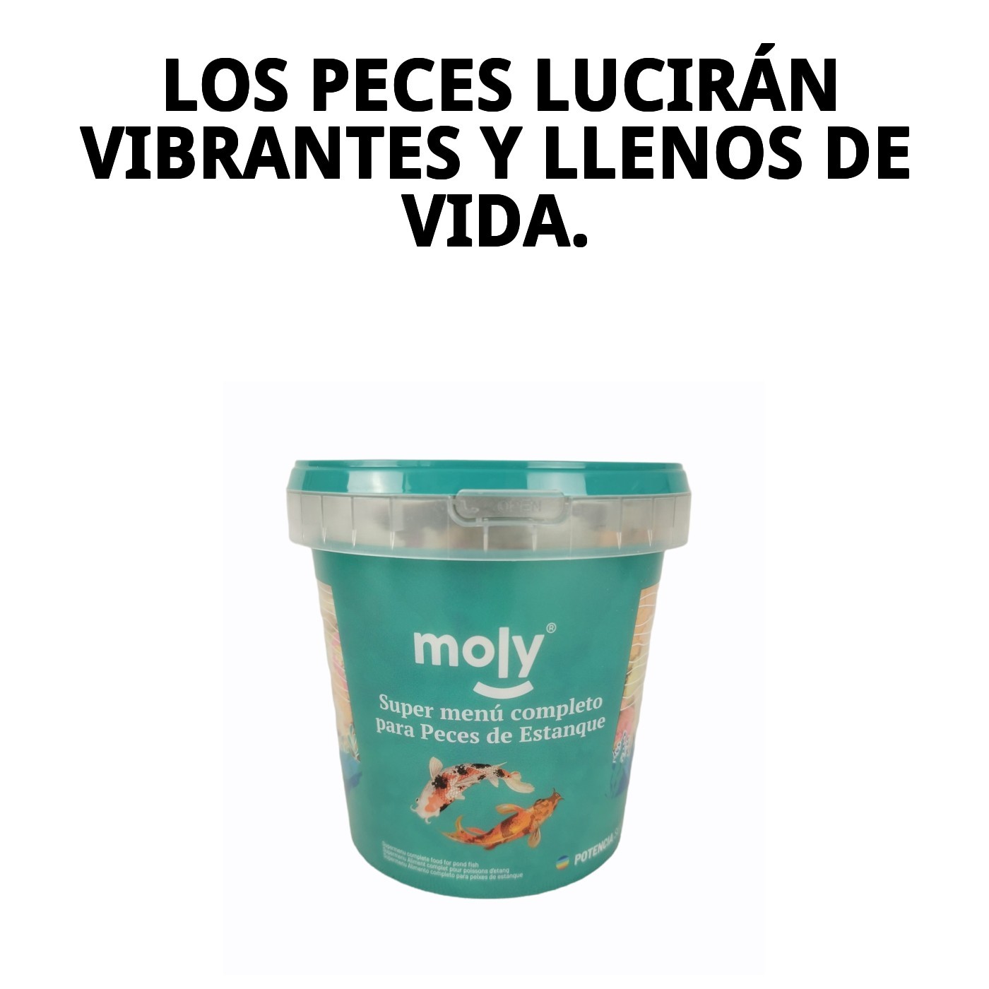 Moly Super-Menü Teich 140 g / 1180 ml — Foto 7