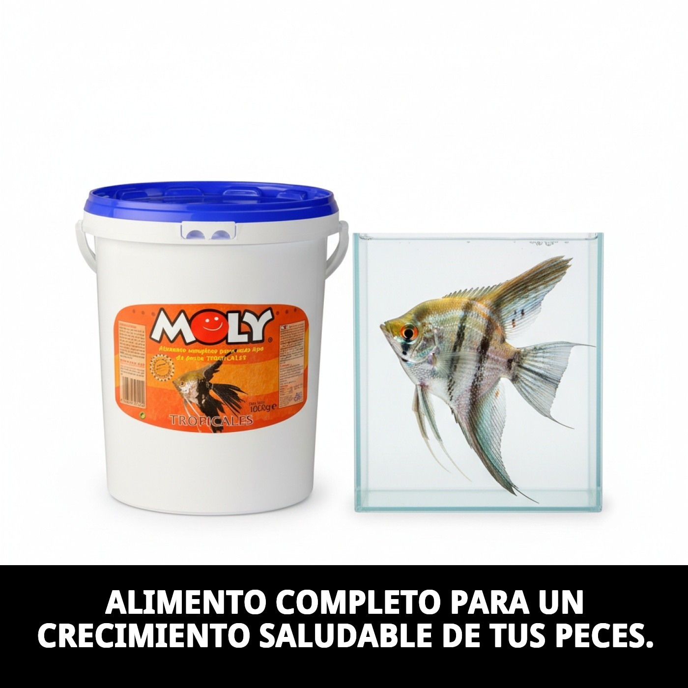 Aliment complet Moly für tropische Fische – 1 000 g — Foto 2