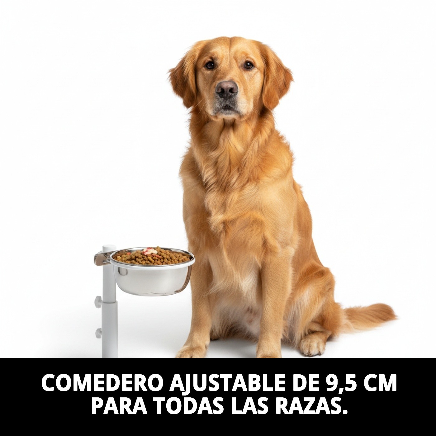 Bol Lebensmittel Multiusages Anpassbar 9,5 cm — Foto 4