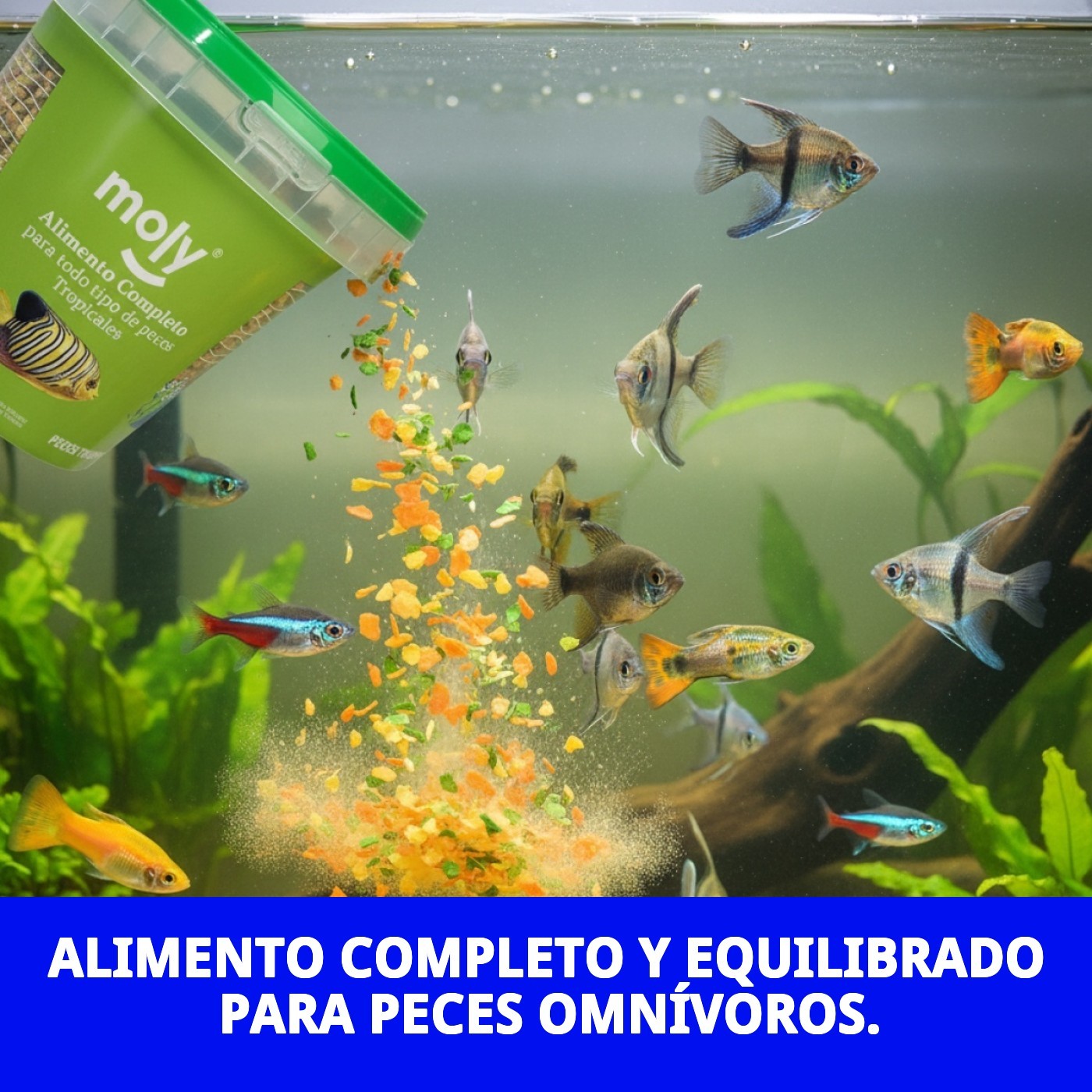 Aliment complet en flocons Moly für tropische Fische 200 g/ 1180ML — Foto 4