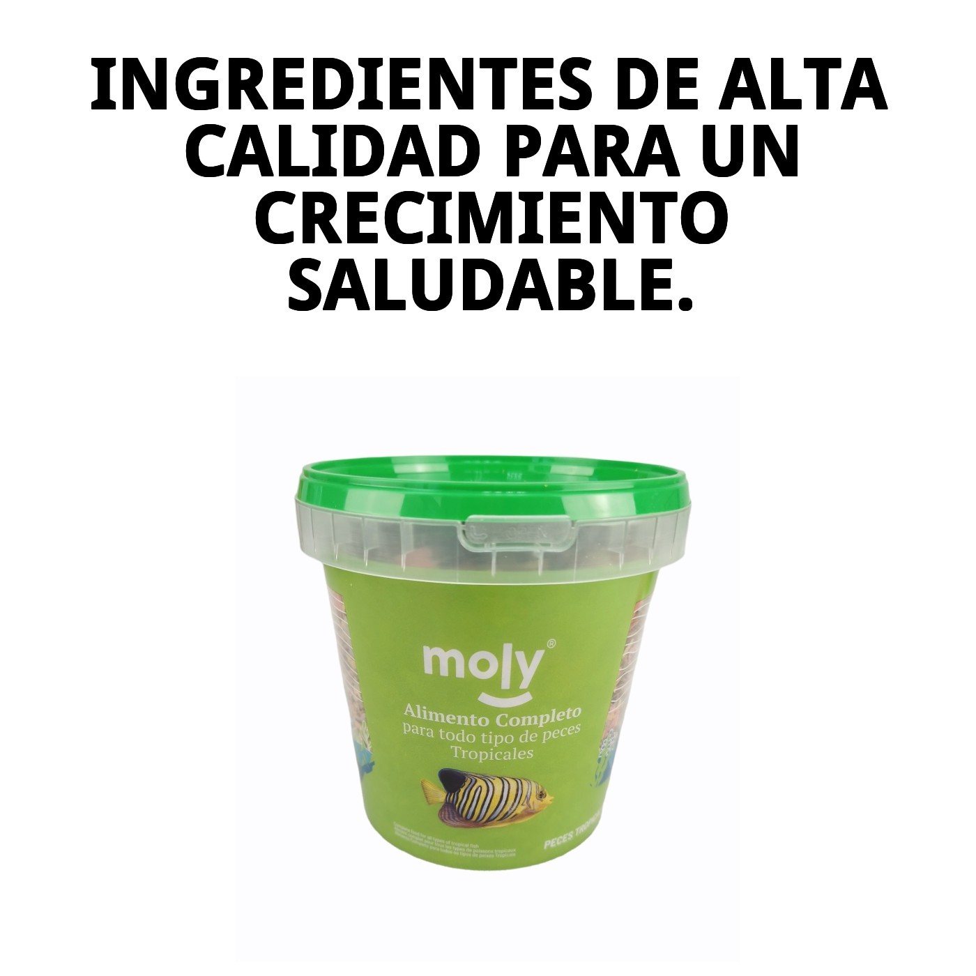 Aliment complet en flocons Moly für tropische Fische 200 g/ 1180ML — Foto 5