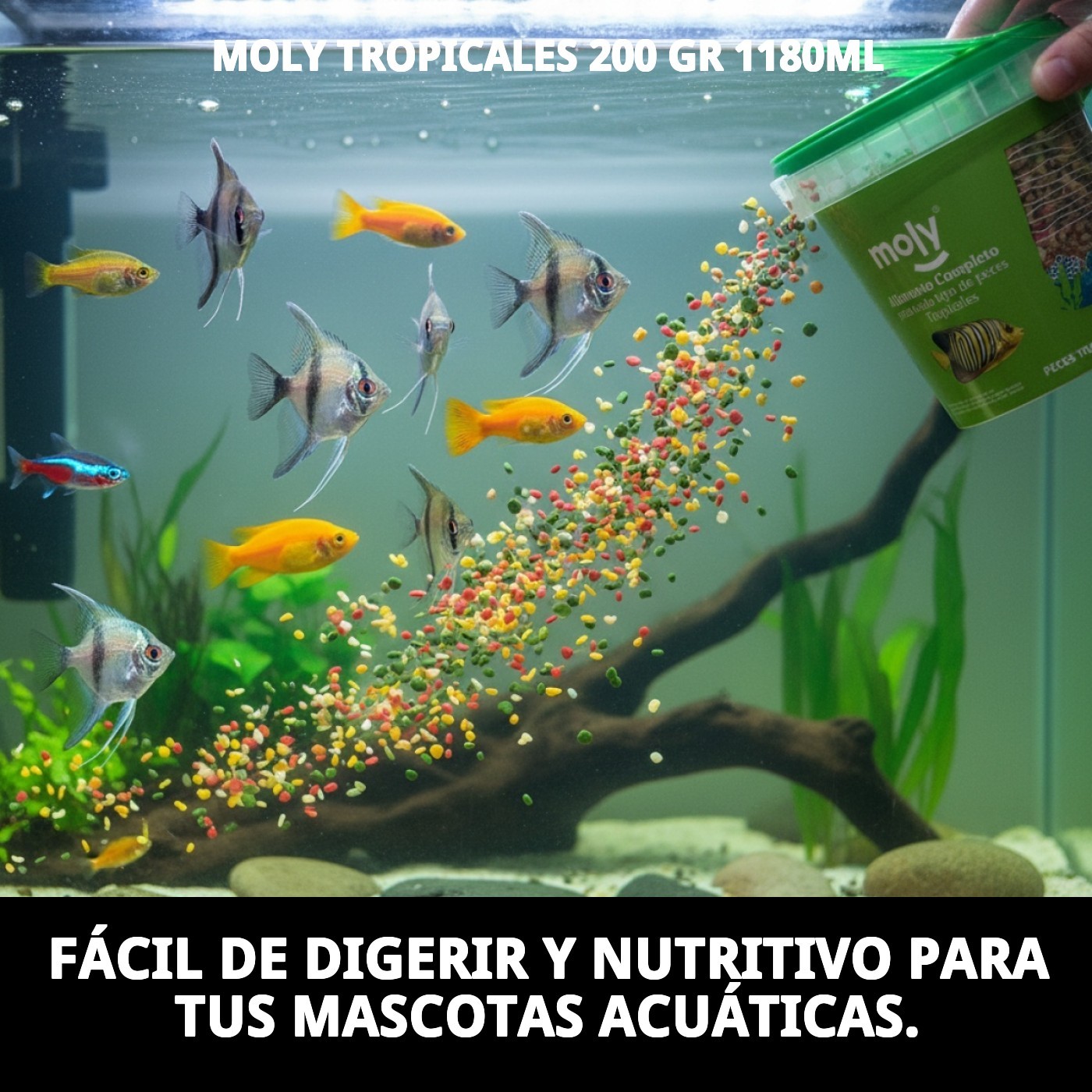 Aliment complet en flocons Moly für tropische Fische 200 g/ 1180ML — Foto 7