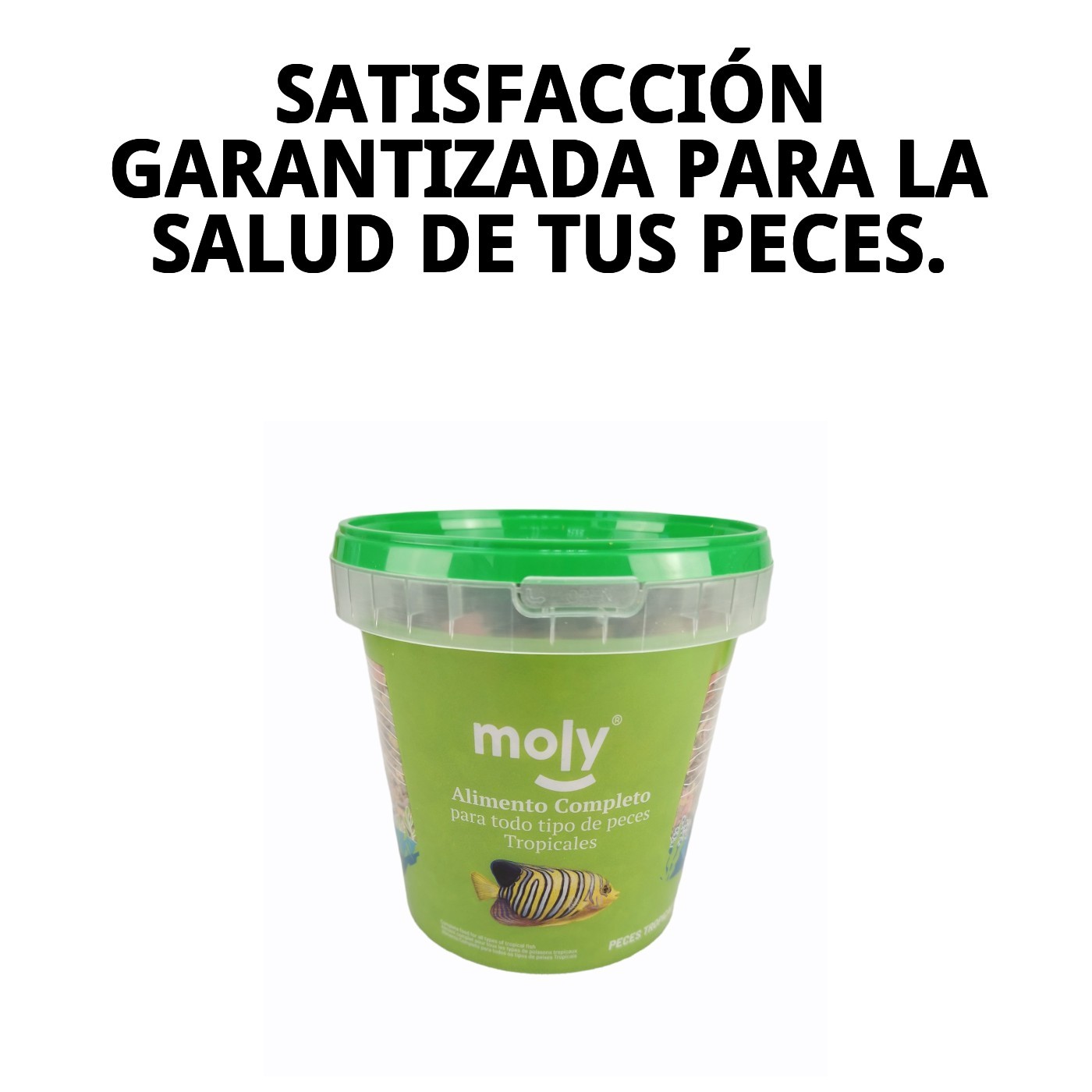 Aliment complet en flocons Moly für tropische Fische 200 g/ 1180ML — Foto 8