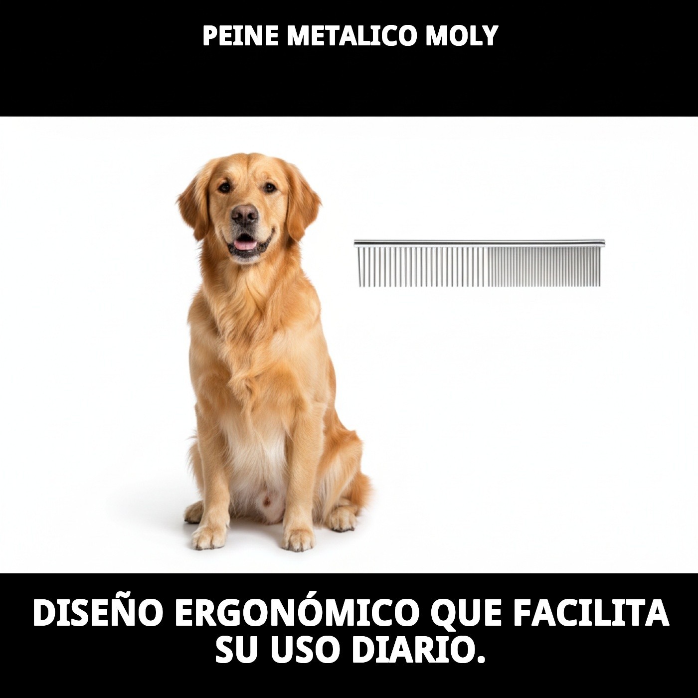 Metallkamm Moly | Professioneller Kamm zum Entwirren und Definieren des Fells von Hunden und Katzen — Foto 6
