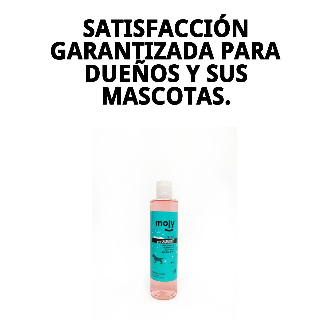 Welpen-Shampoo 250 ml — Foto 6